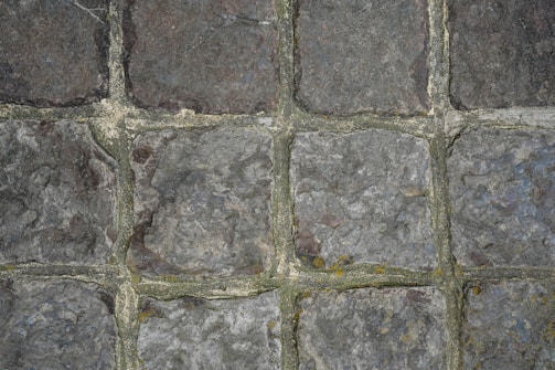 a close up of a stone wall with moss growing on it