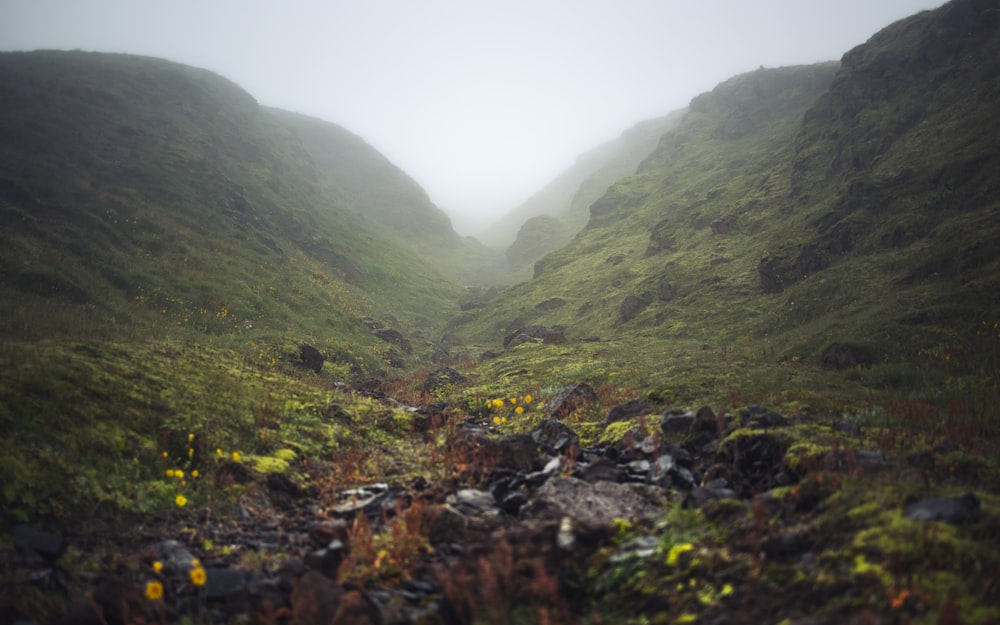 a foggy mountain valley with grass and rocks