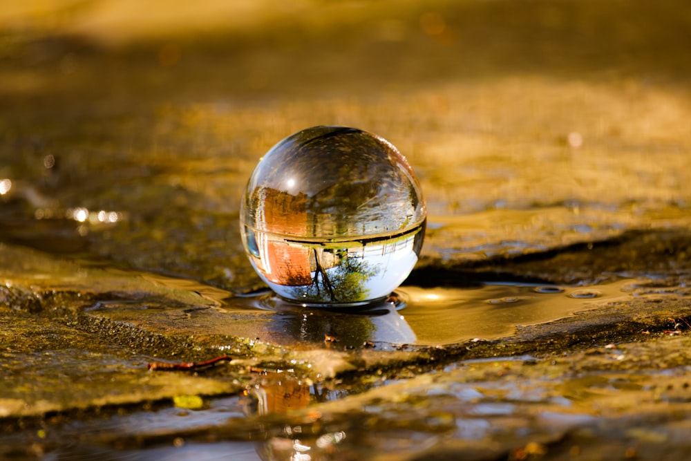 a glass ball sitting on top of a puddle of water