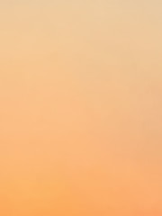 A warm-toned color palette creating a serene atmosphere.