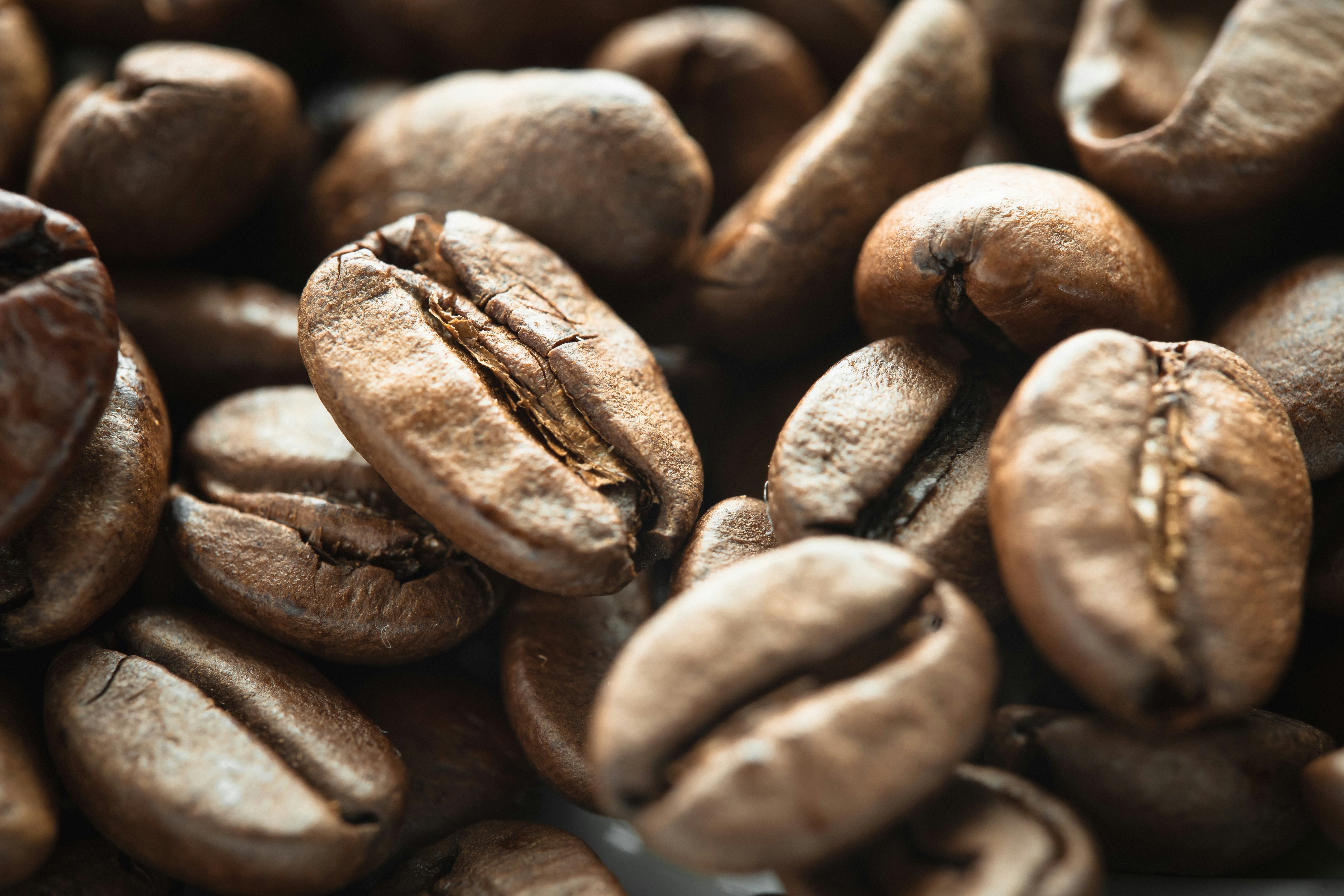 Photo by rogervarenhorst