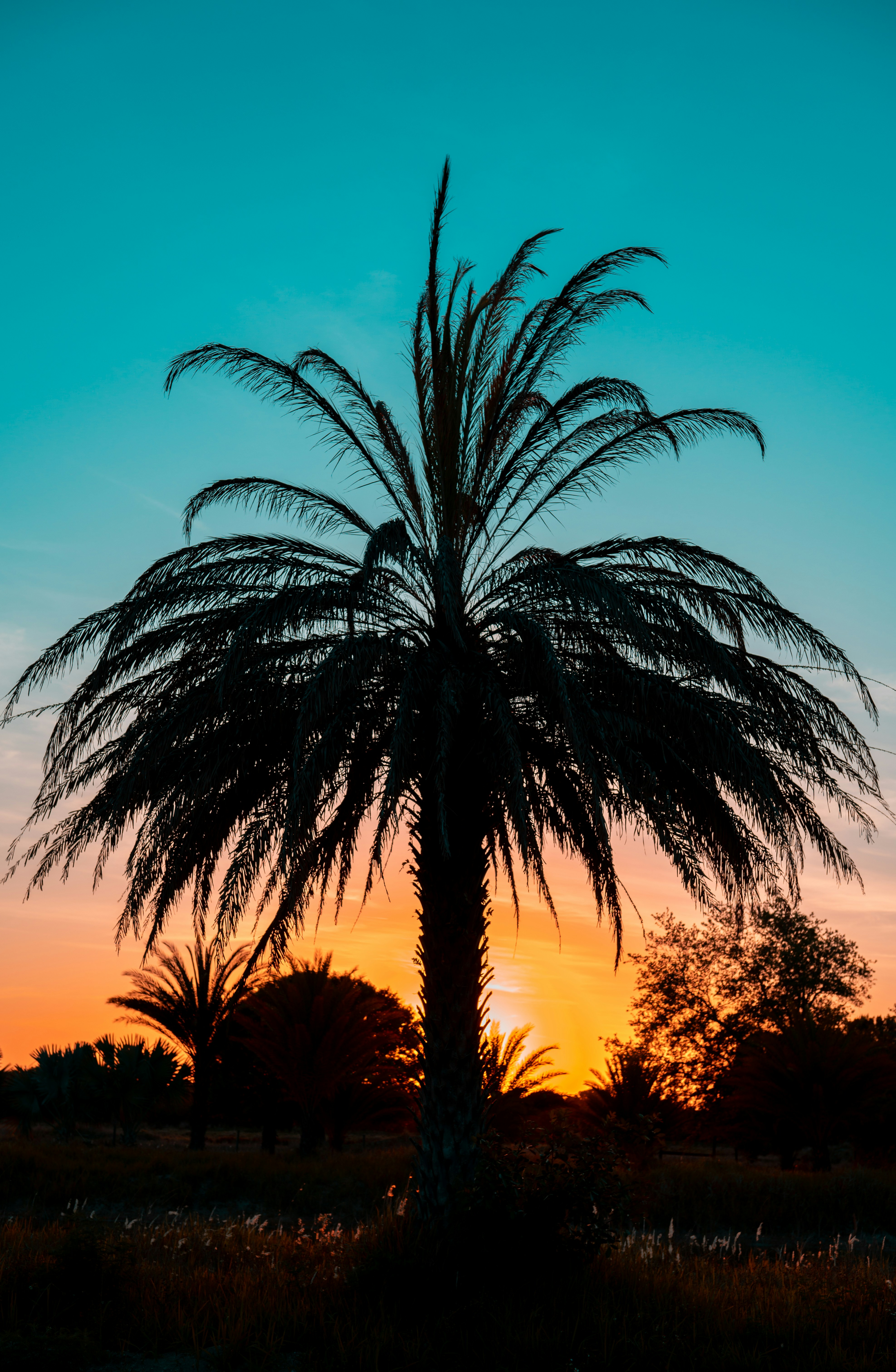 Photo by add_rien_20