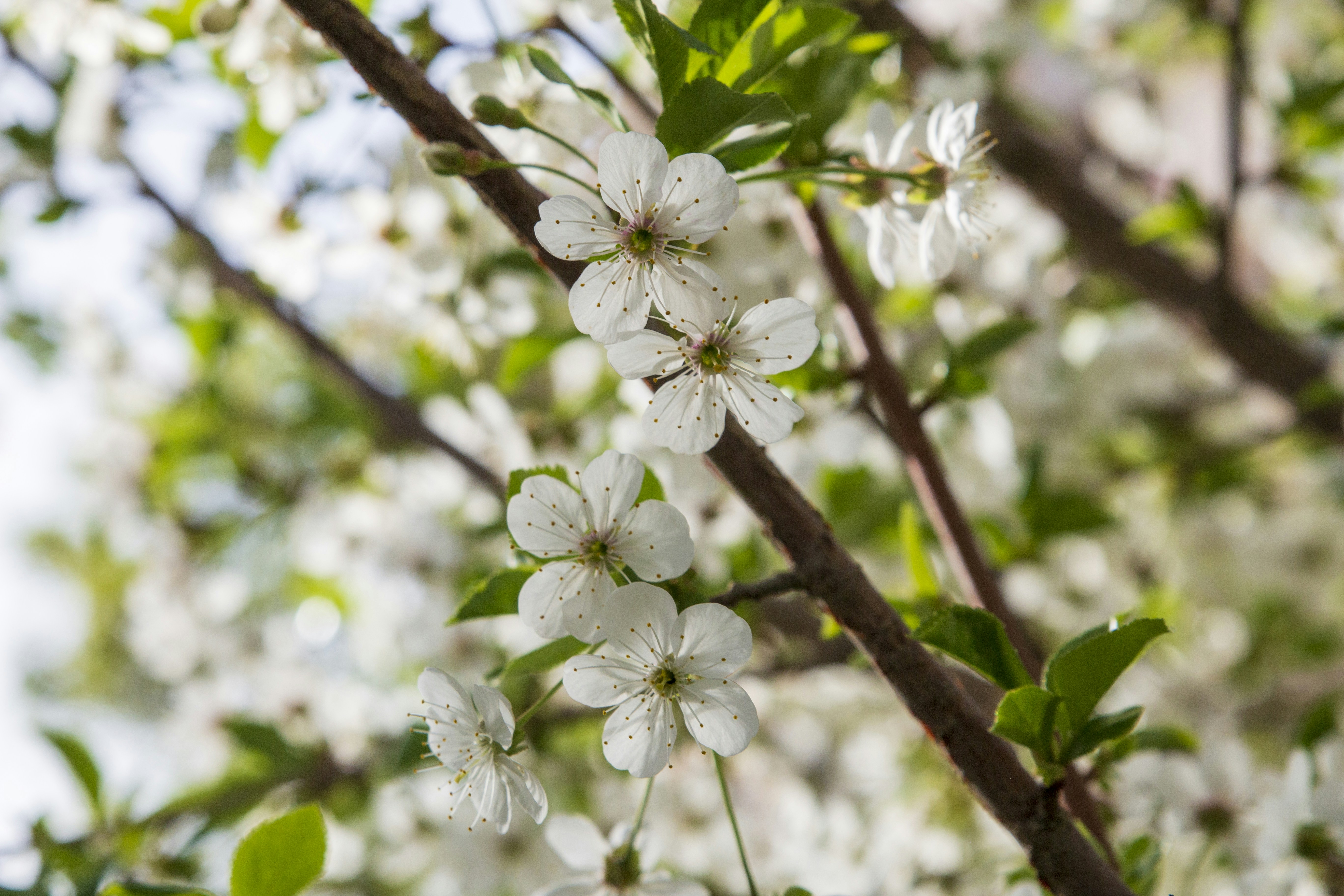 Photo by razipourjafari