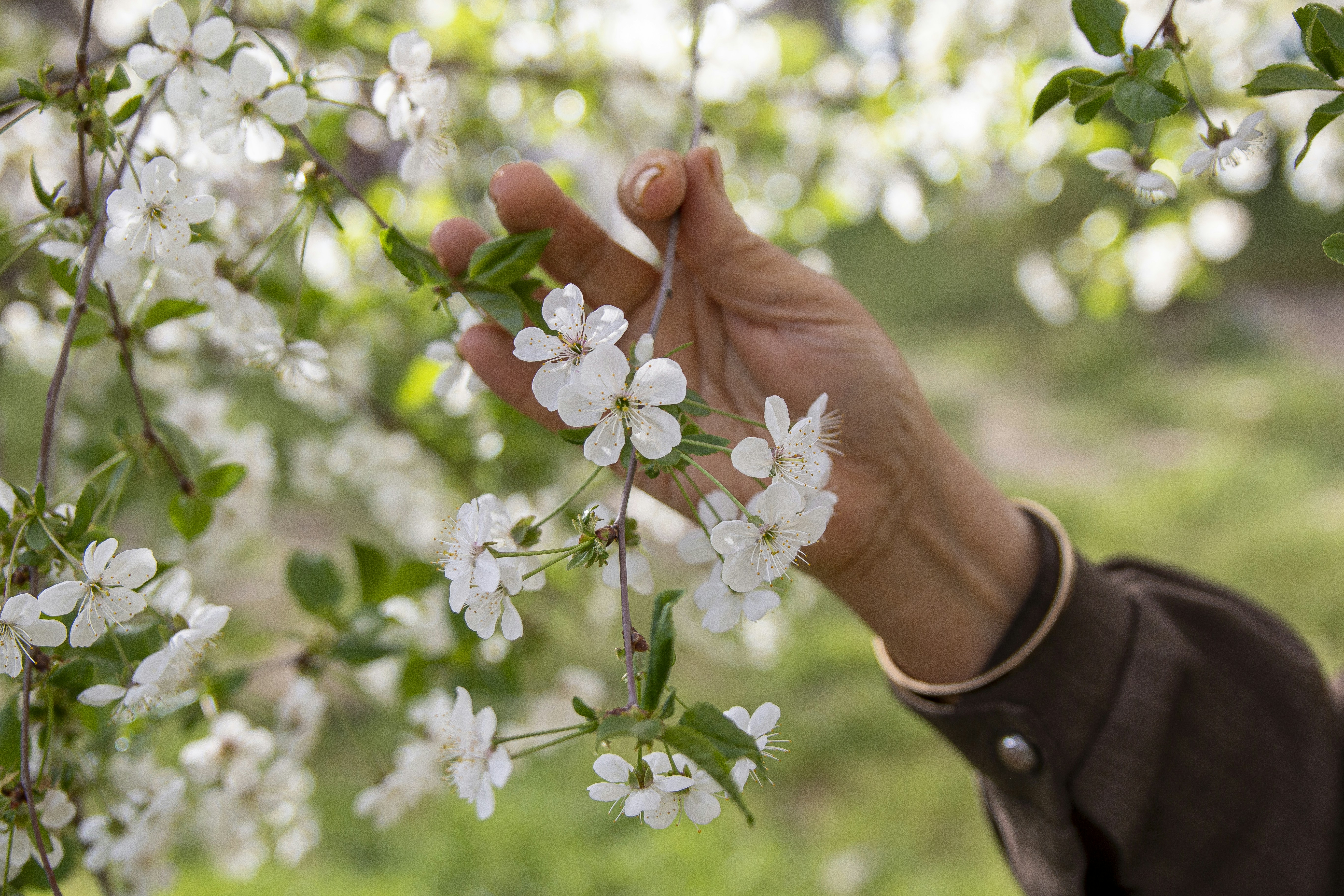 Photo by razipourjafari