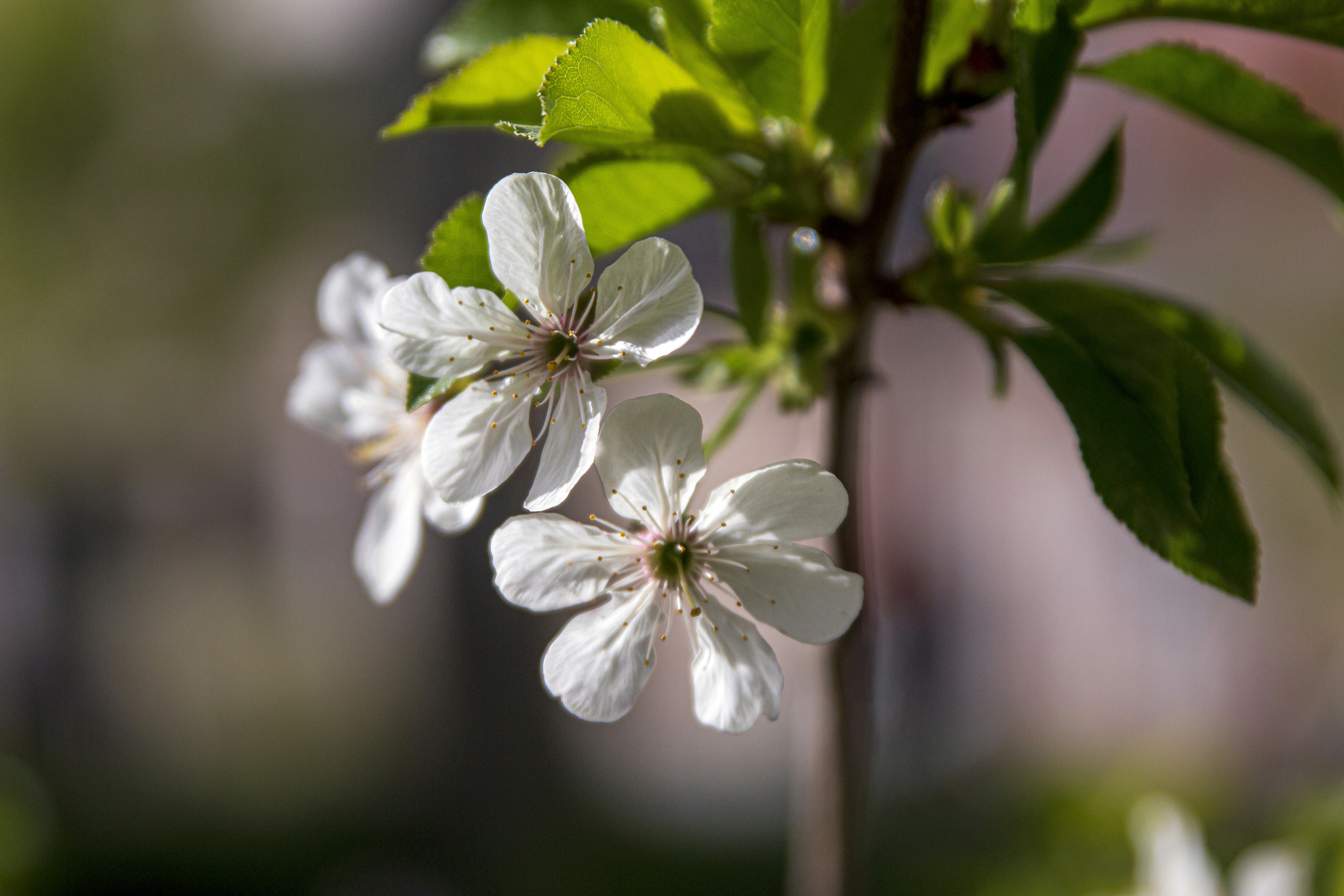Photo by razipourjafari