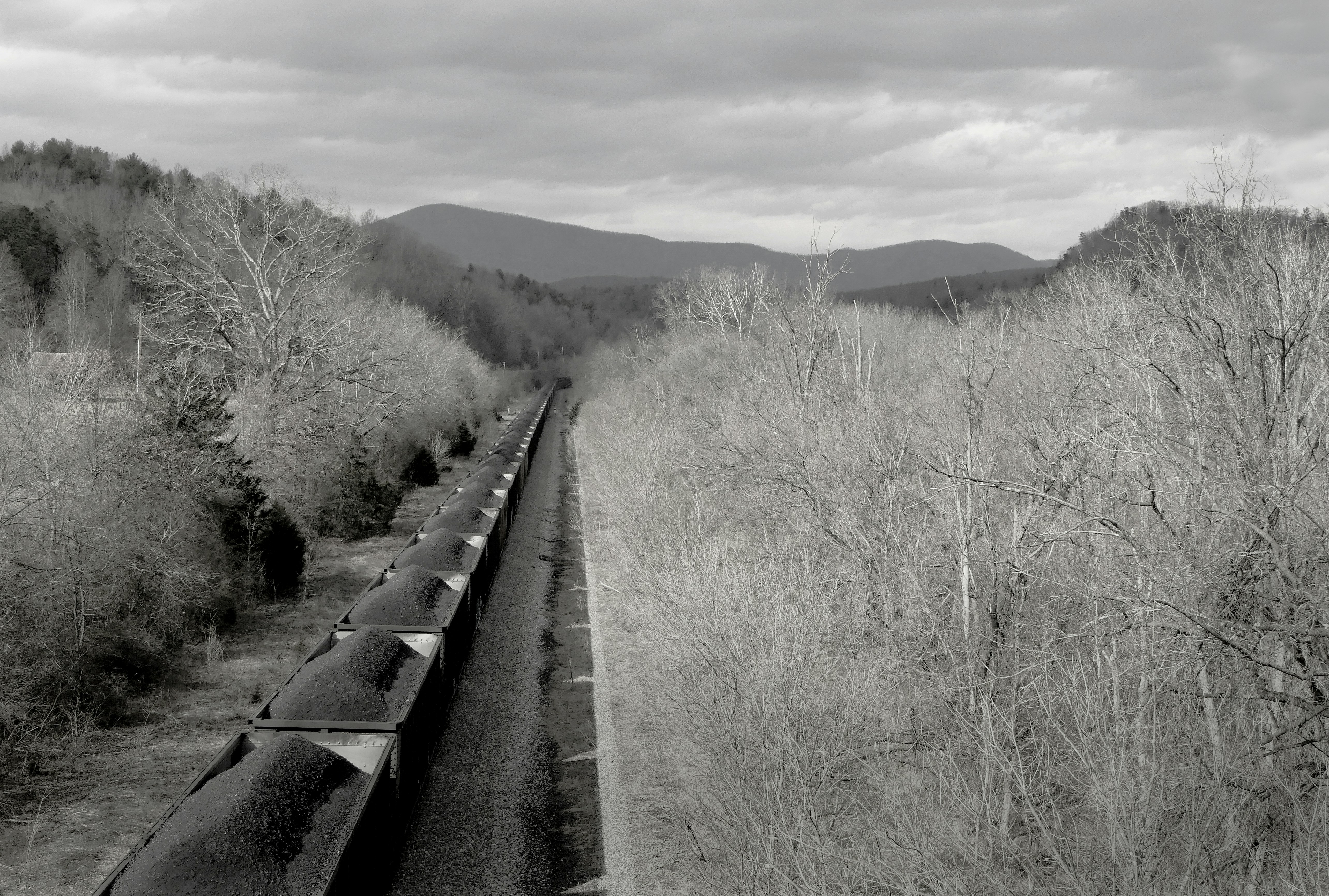 a black and white photo of a train in the woods