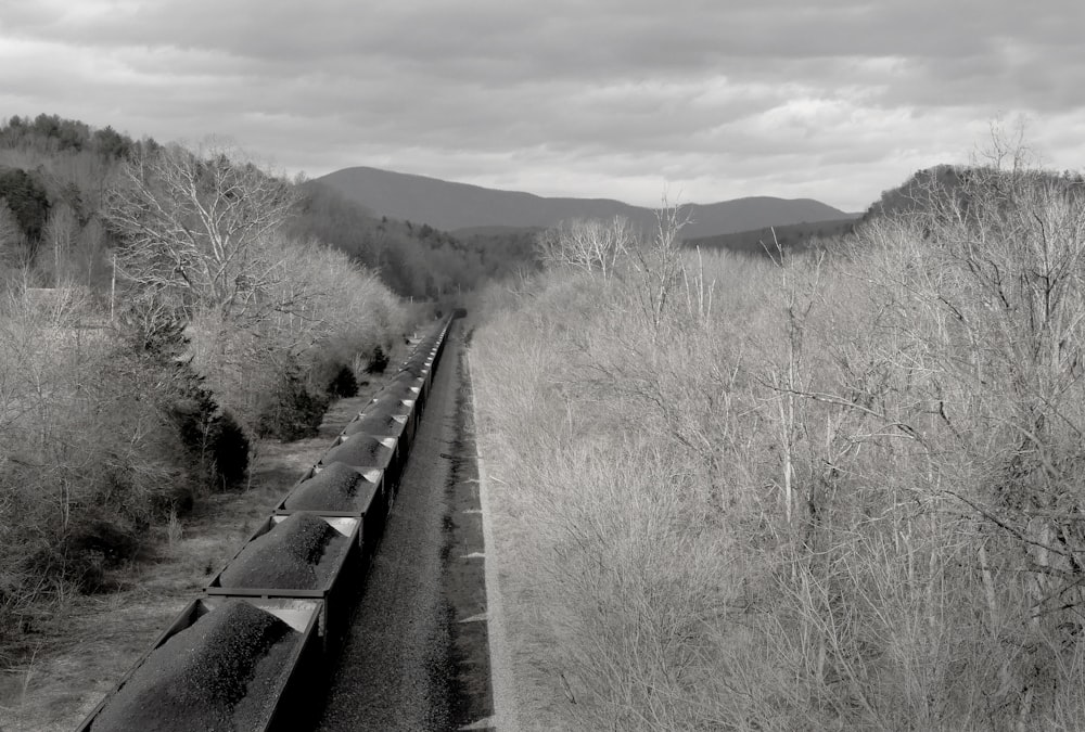a black and white photo of a train in the woods