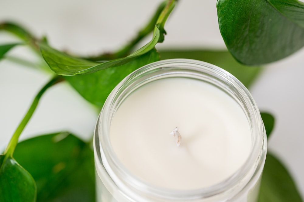 a white candle sitting on top of a green plant