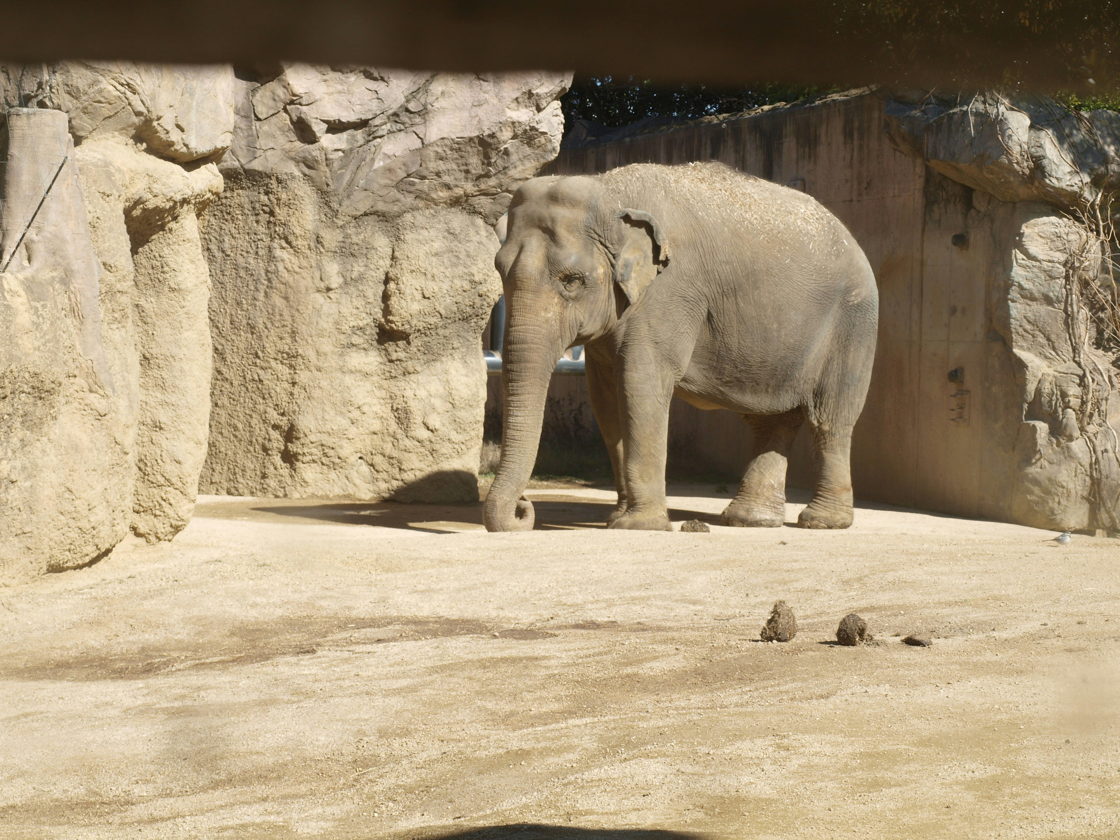 빌드 툴(ant, maven, gradle)