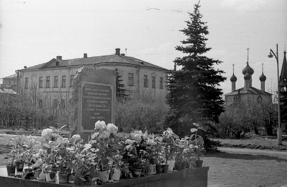 a black and white photo of flowers in front of a building