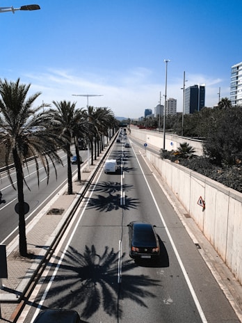 A limousine driving smoothly along a Houston street lined with palm trees.