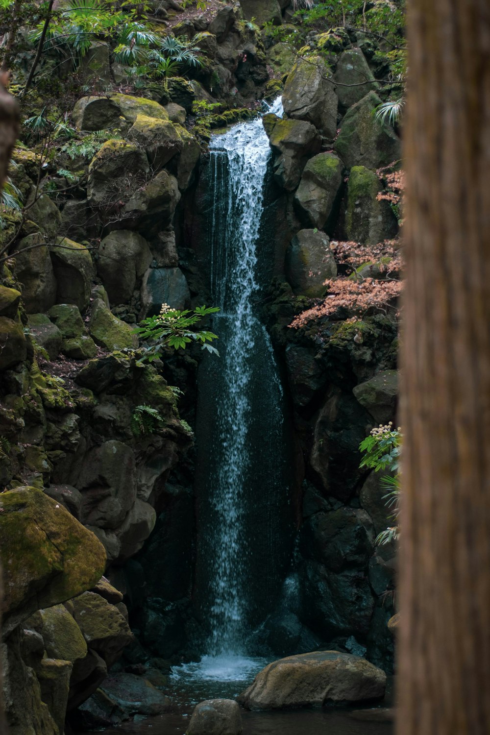 a waterfall in the middle of a forest