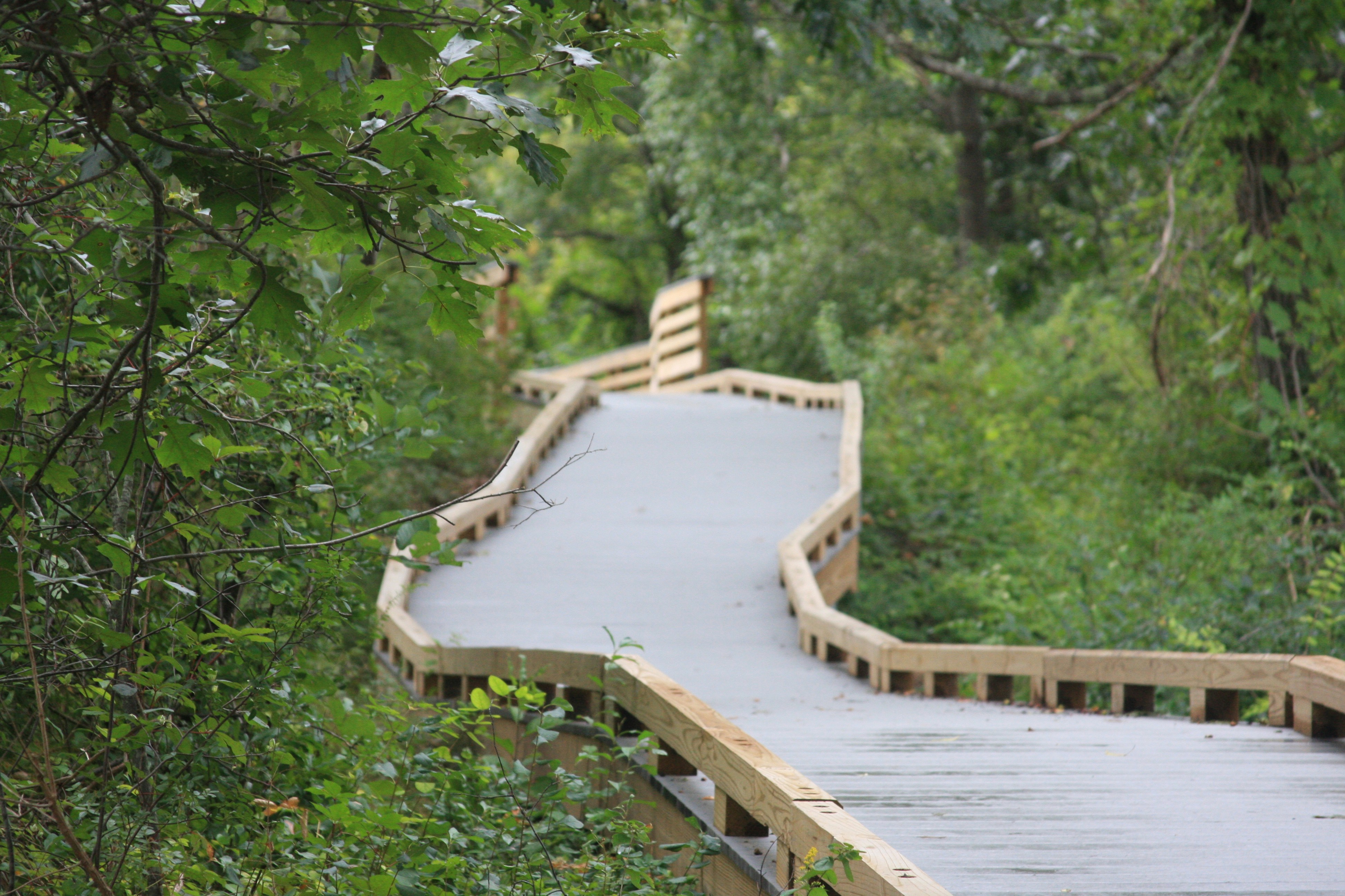 Photo by photocage23