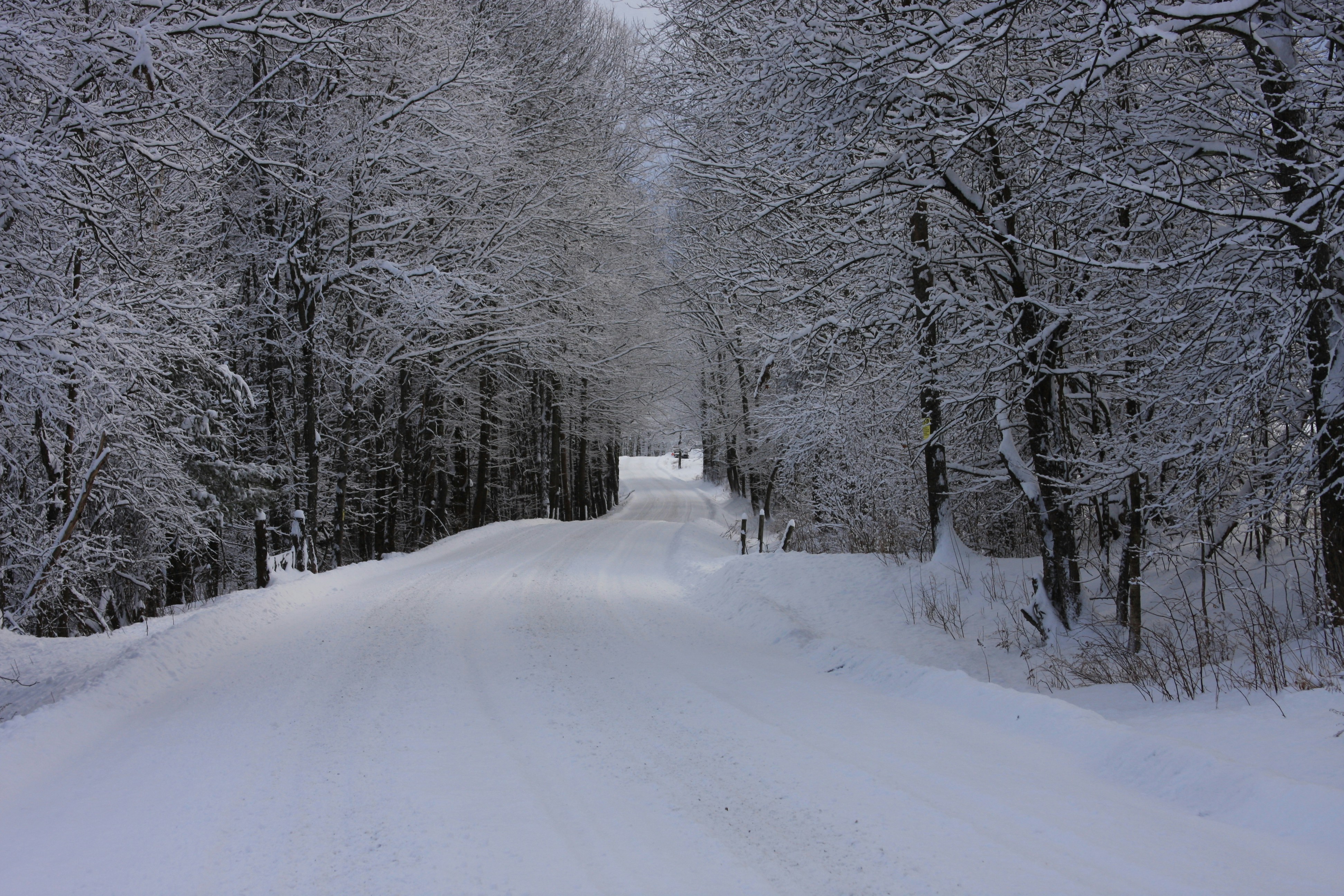 Photo by photocage23