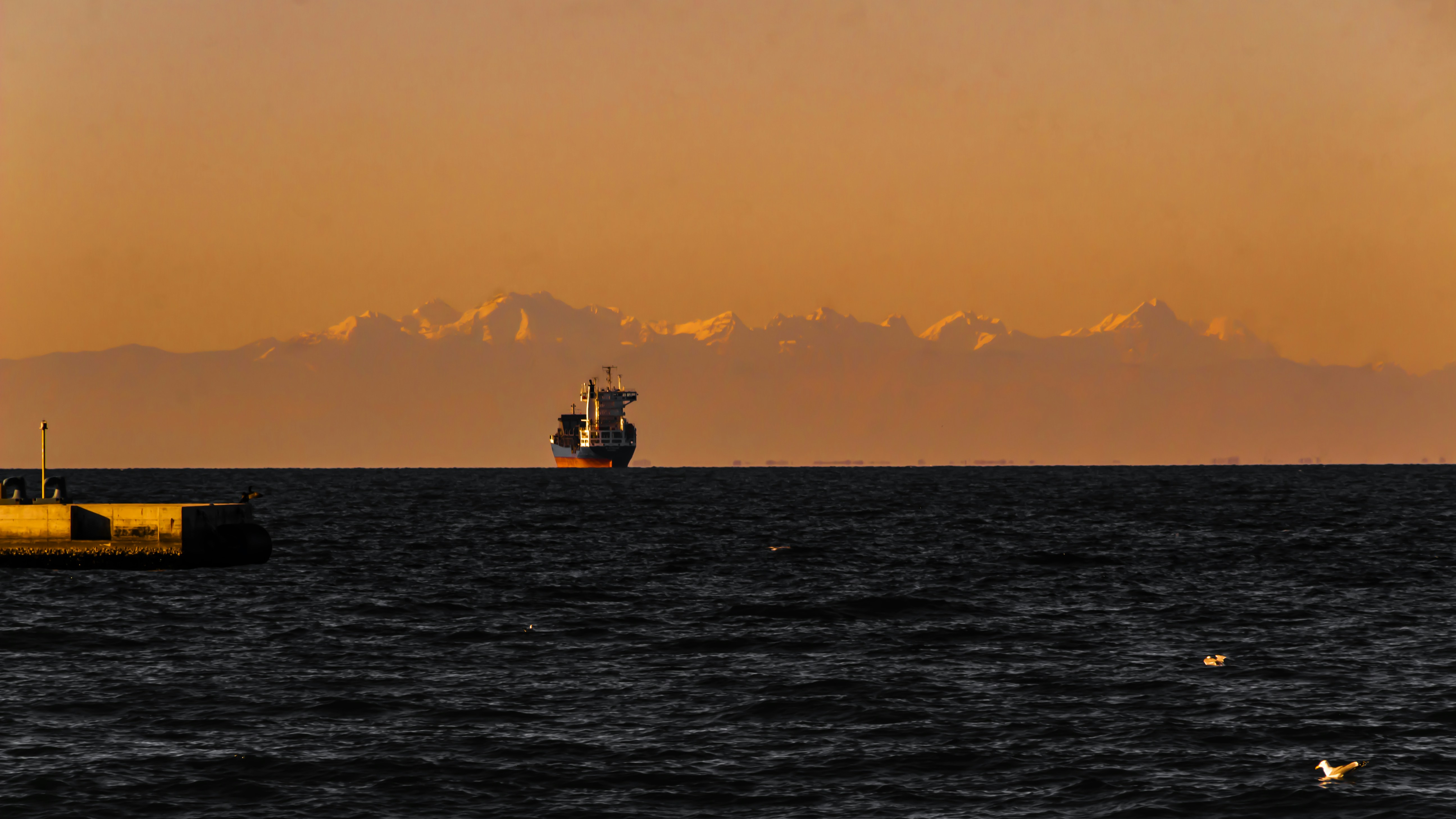 Photo by merlin_photo