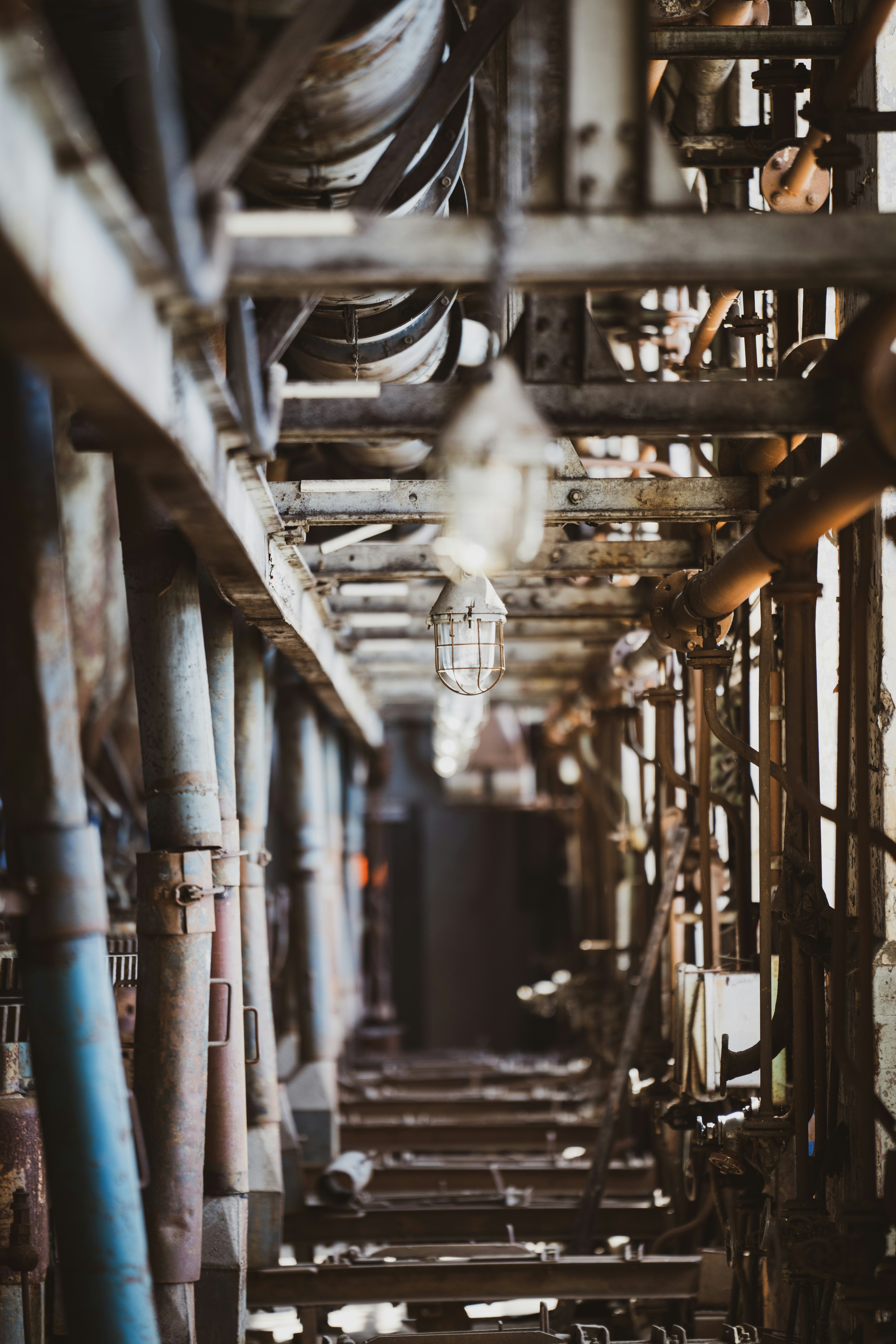 Photo by dmaxsilencer