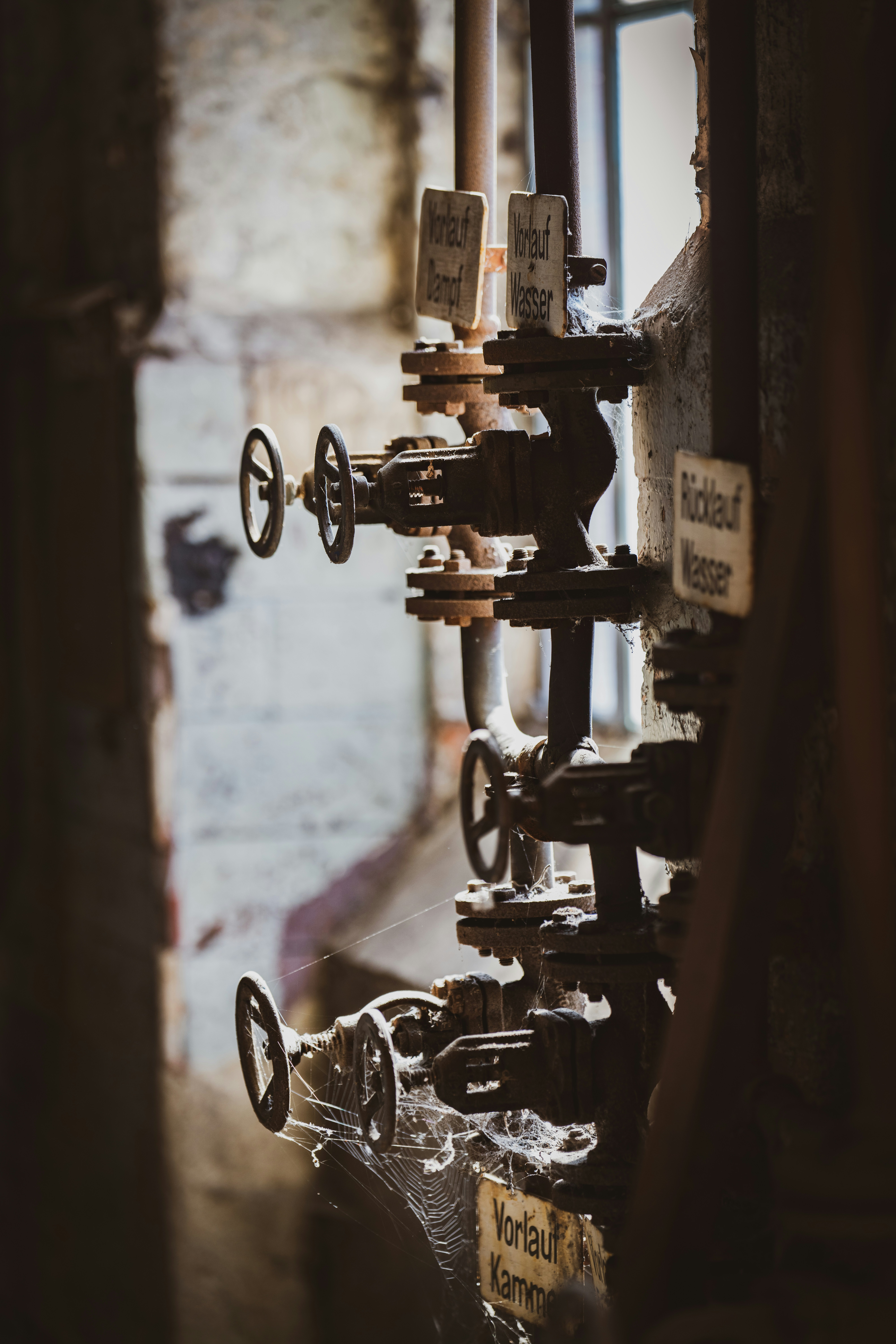 Photo by dmaxsilencer