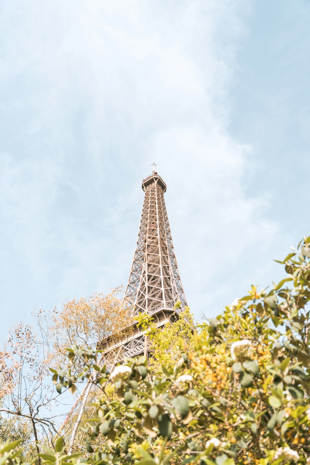 a view of the eiffel tower through the trees