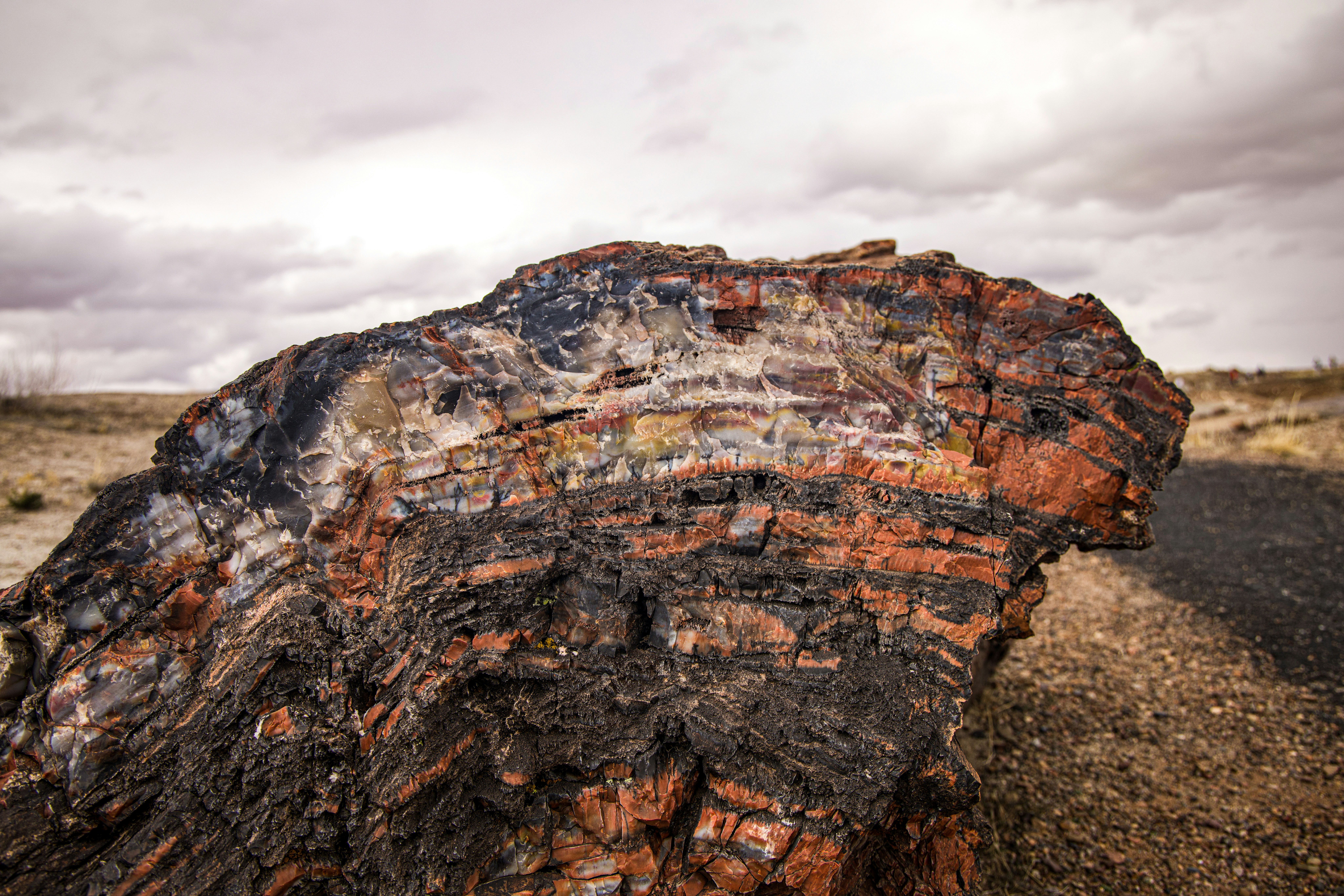 a large piece of wood sitting on top of a dirt field