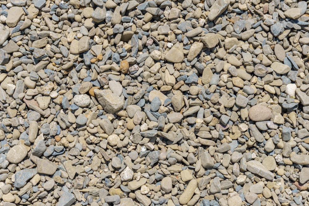 a bunch of rocks that are laying on the ground