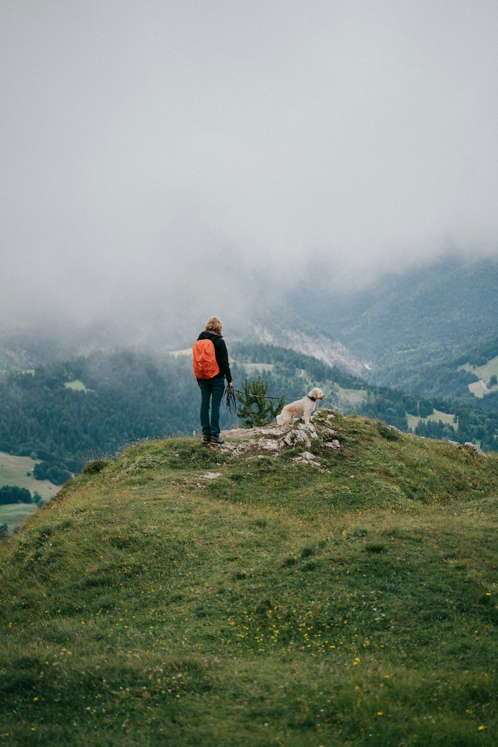 a person standing on top of a hill with a dog