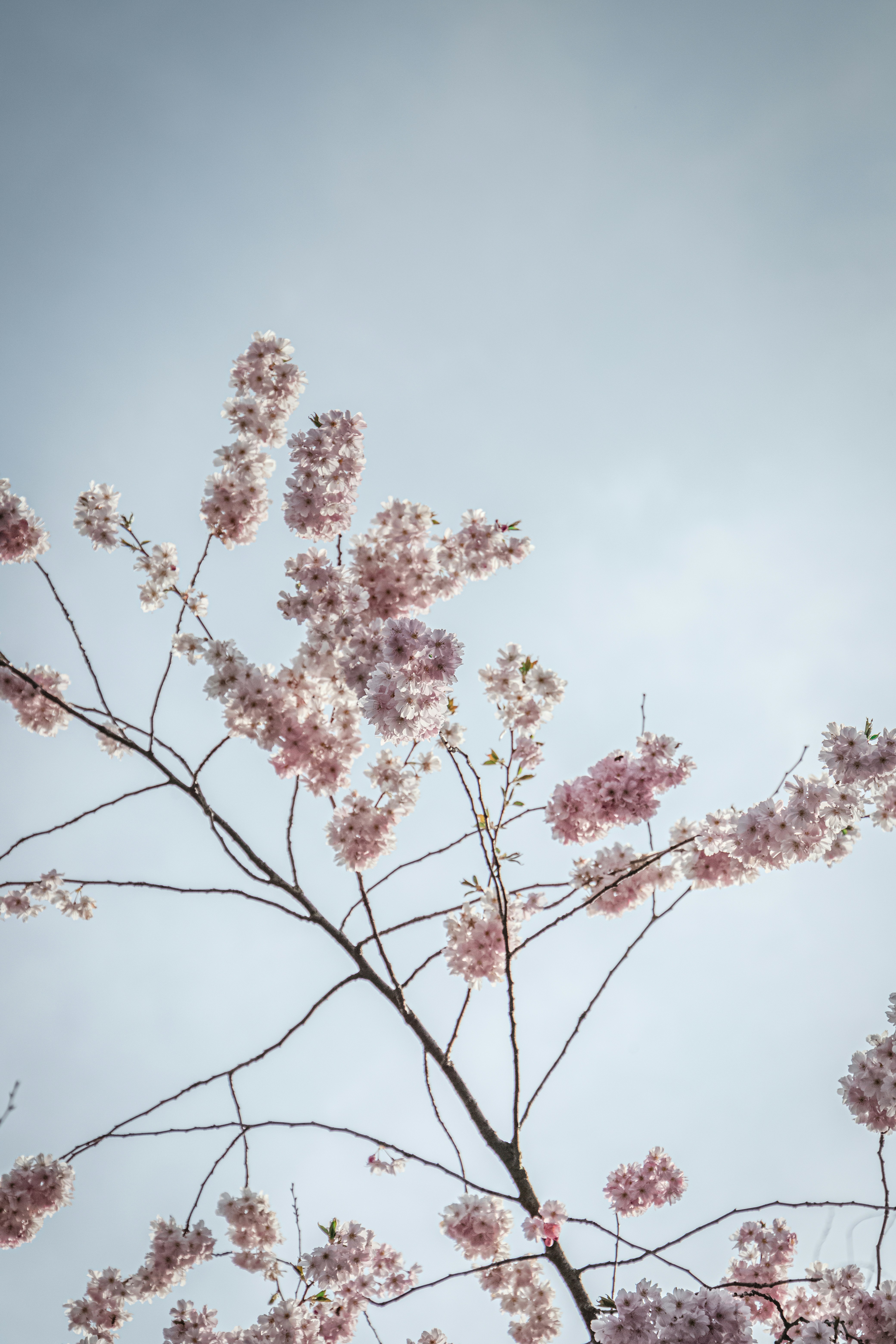 Photo by katharina_bill