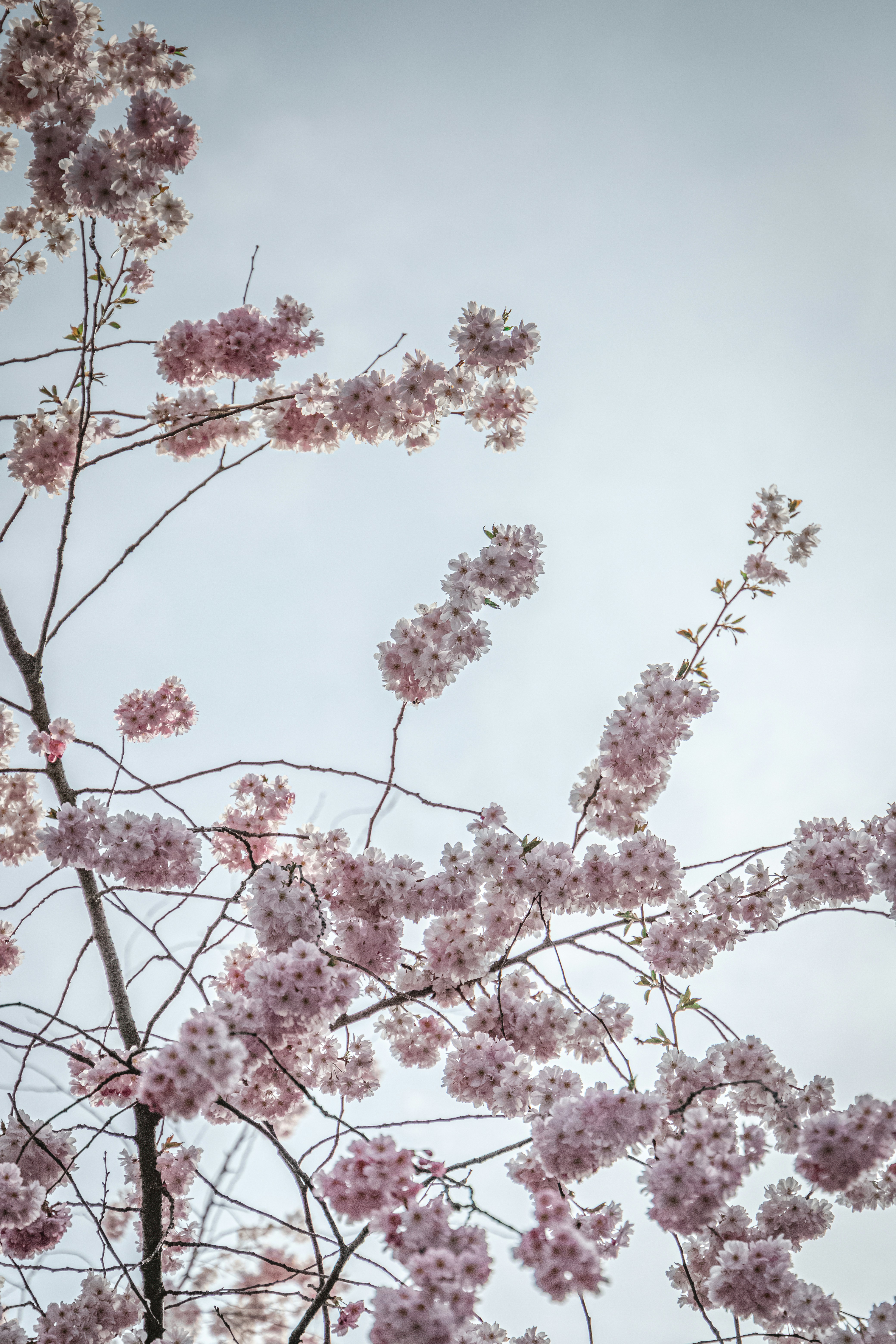 Photo by katharina_bill