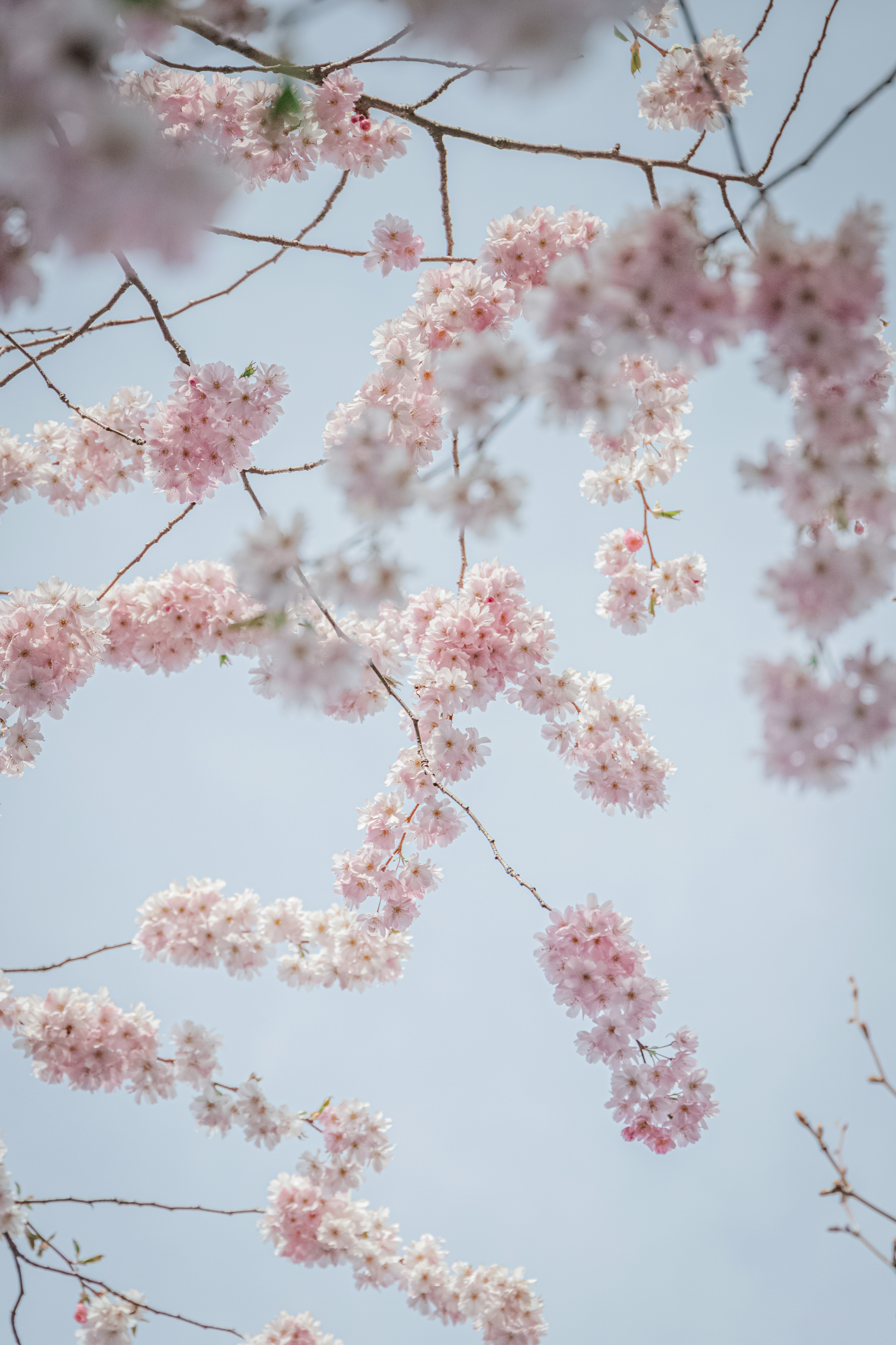 Photo by katharina_bill