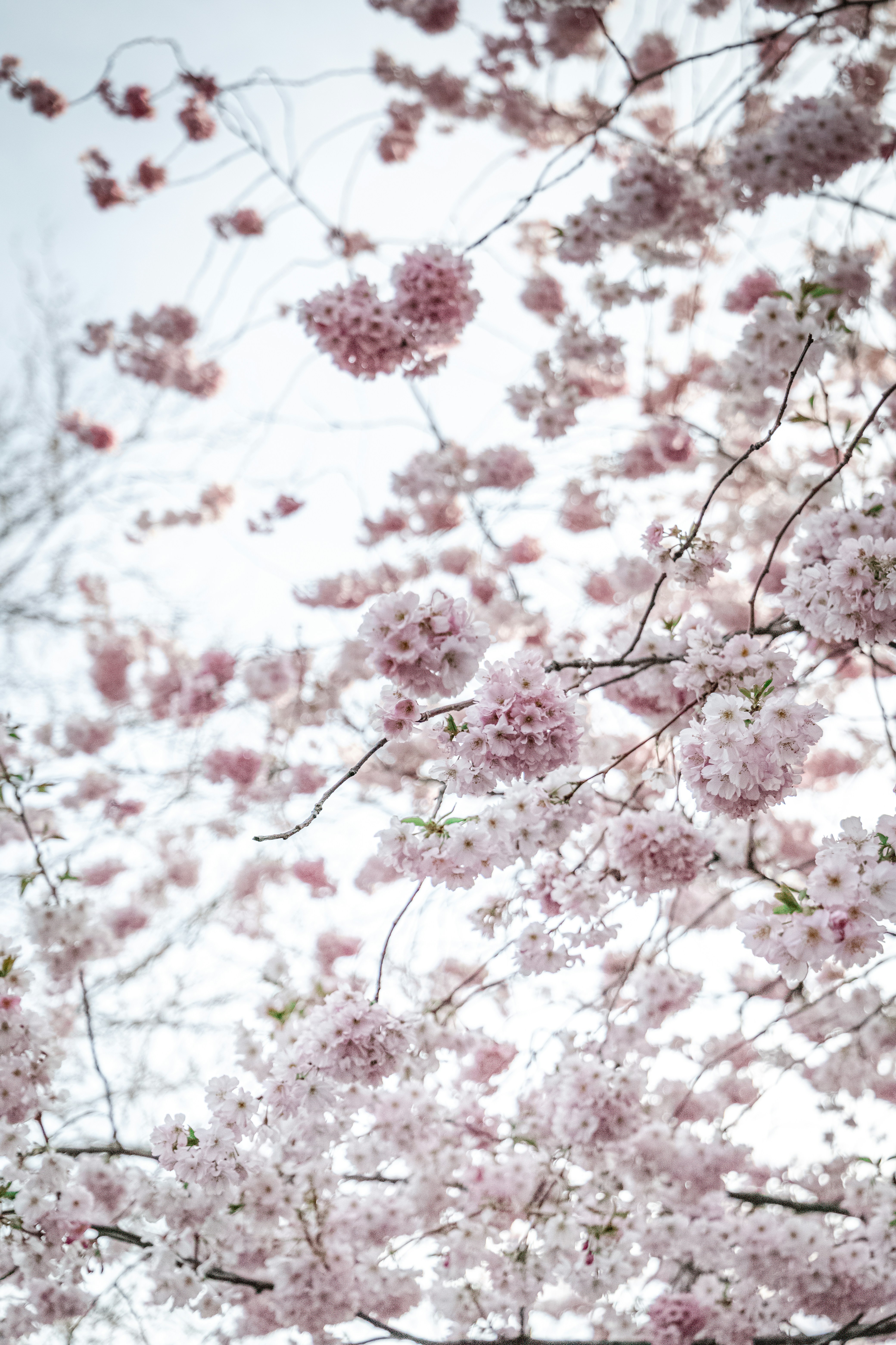 Photo by katharina_bill