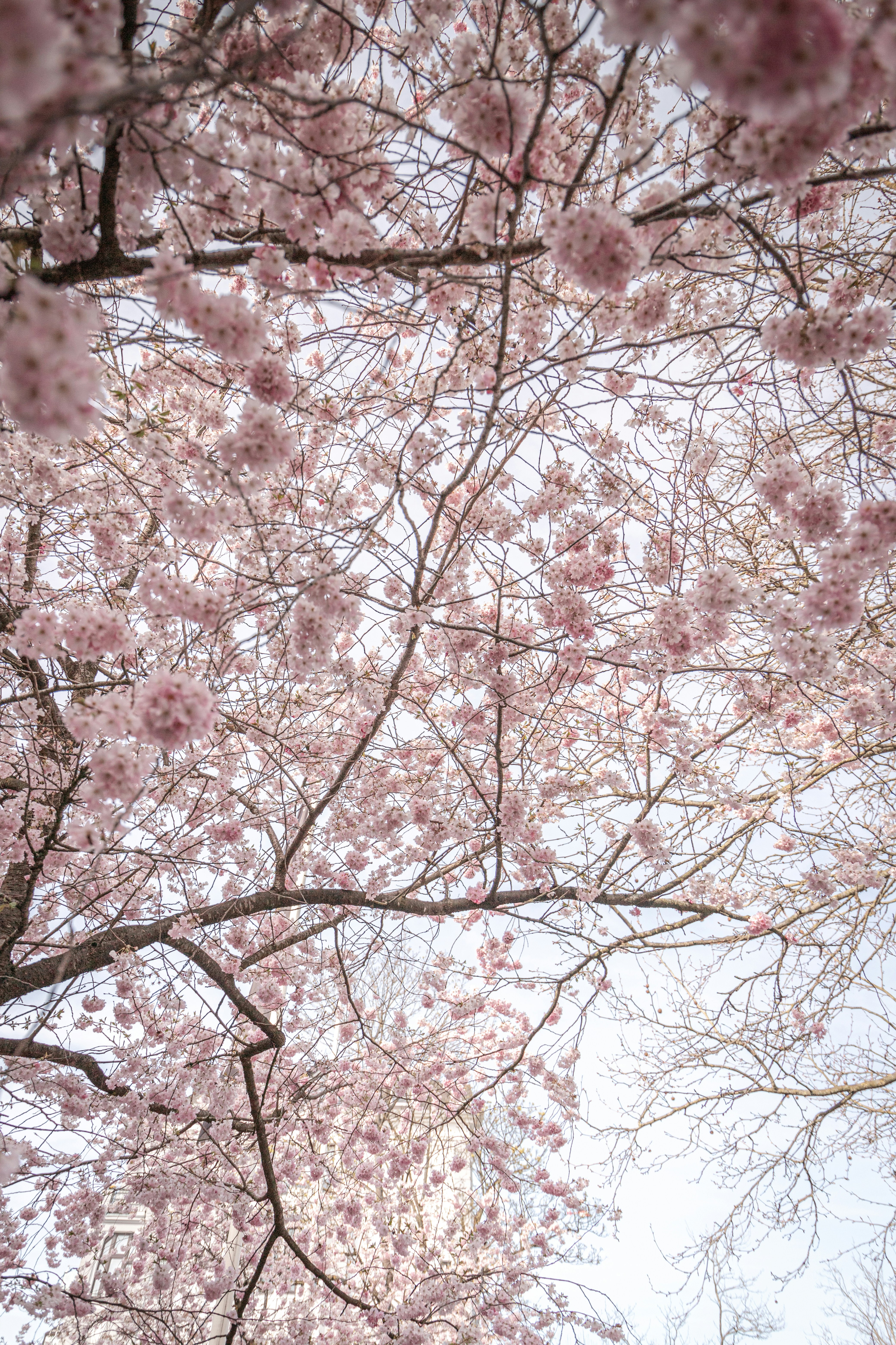 Photo by katharina_bill