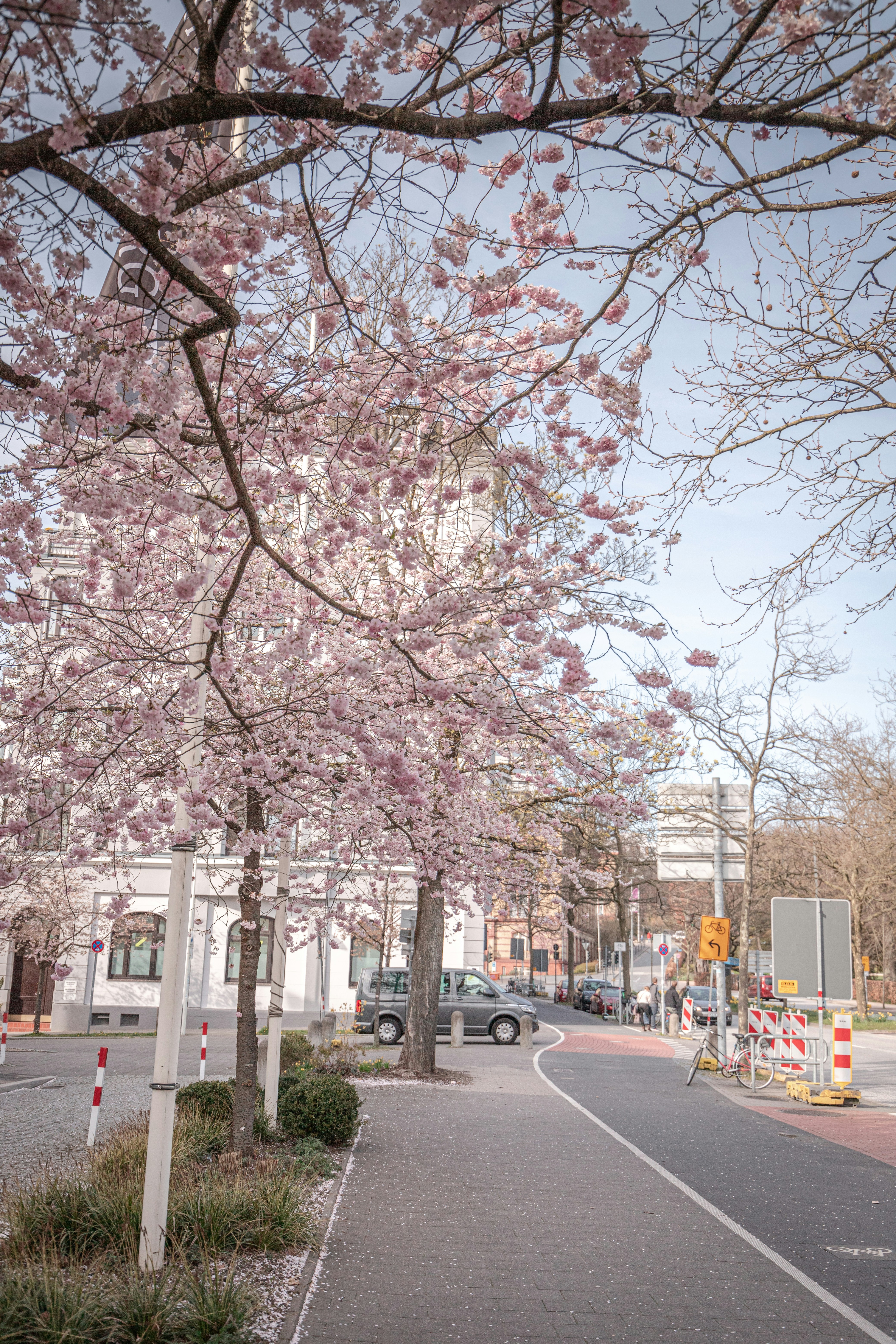 Photo by katharina_bill