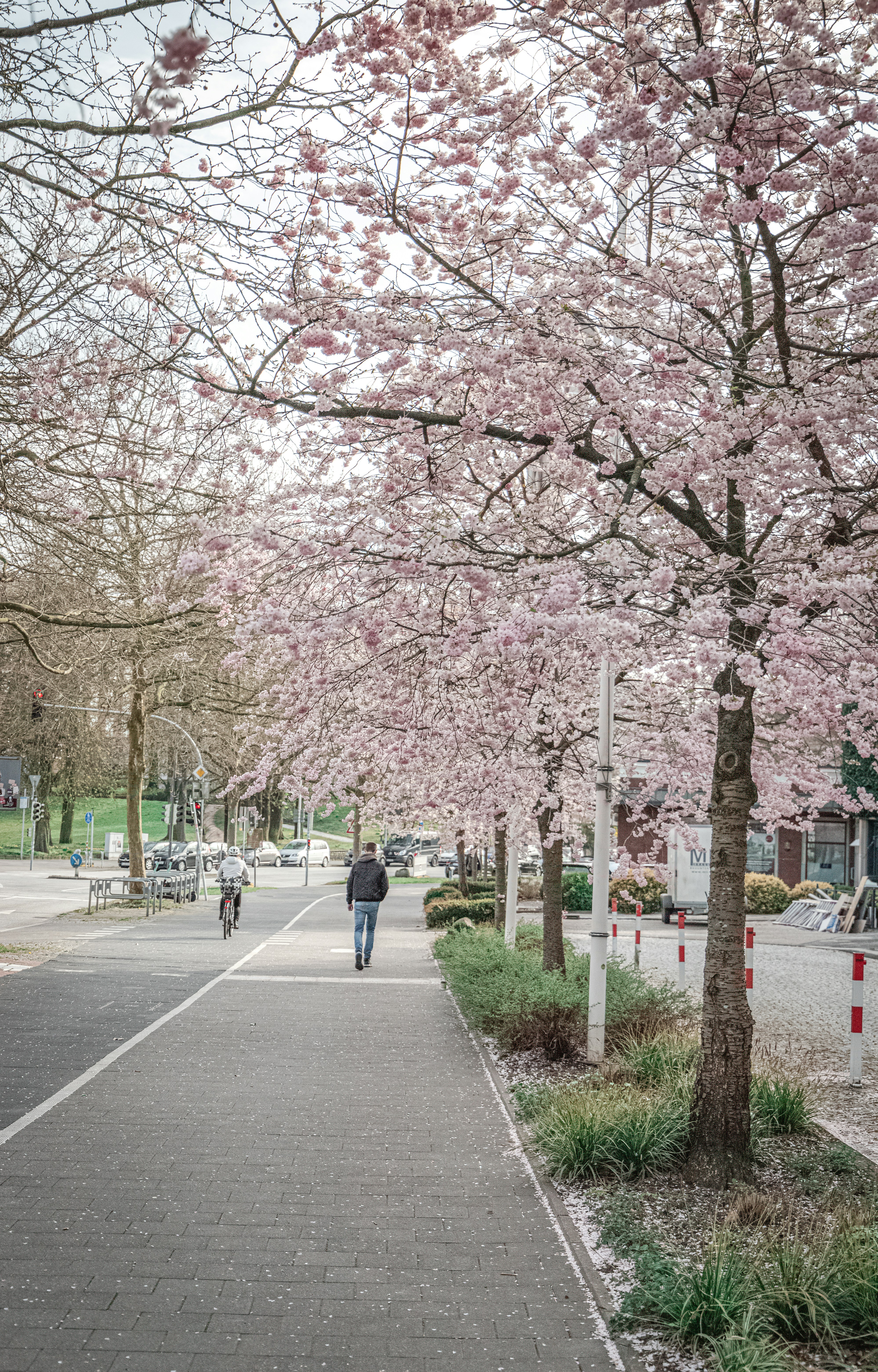 Photo by katharina_bill