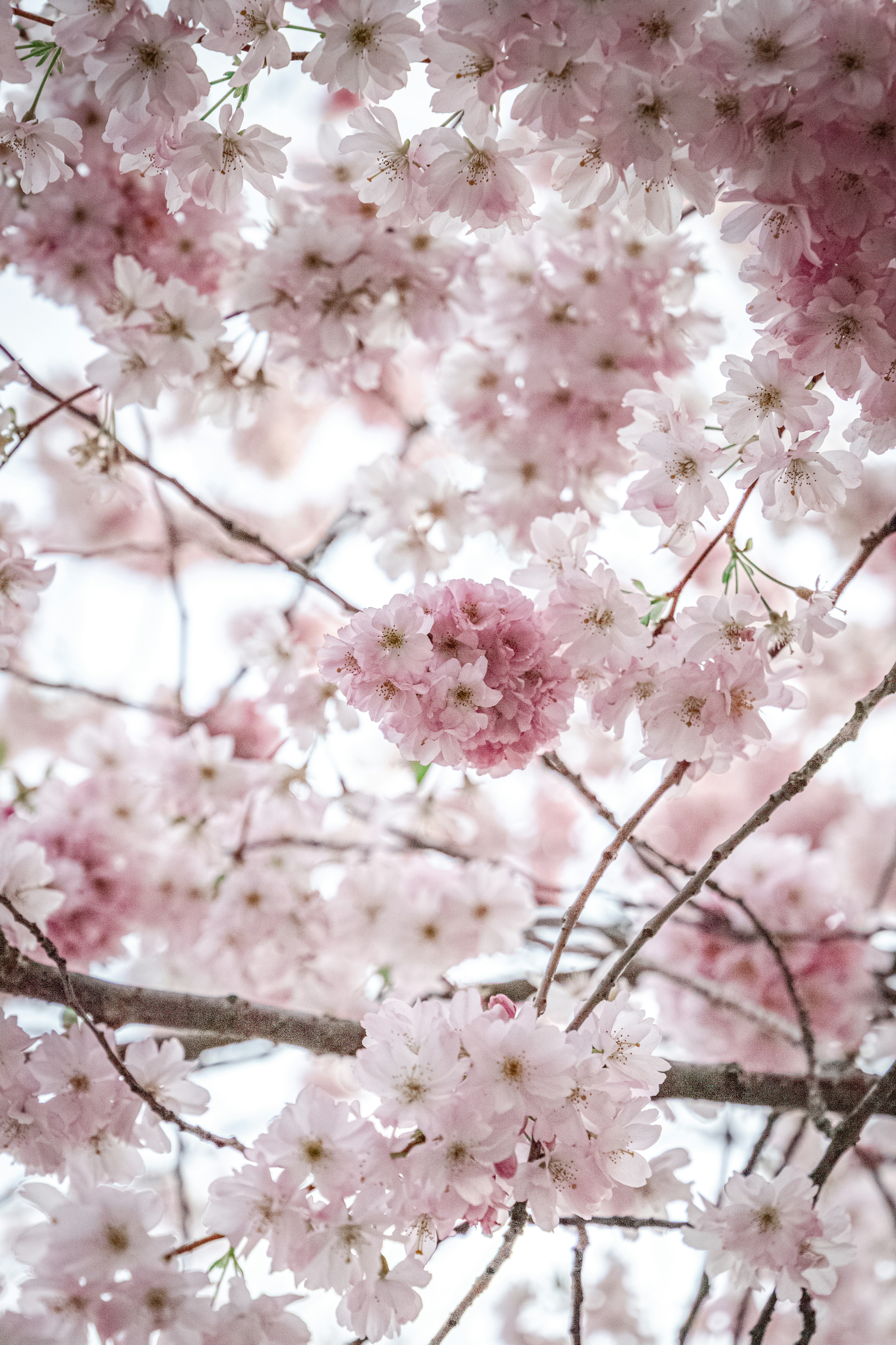 Photo by katharina_bill