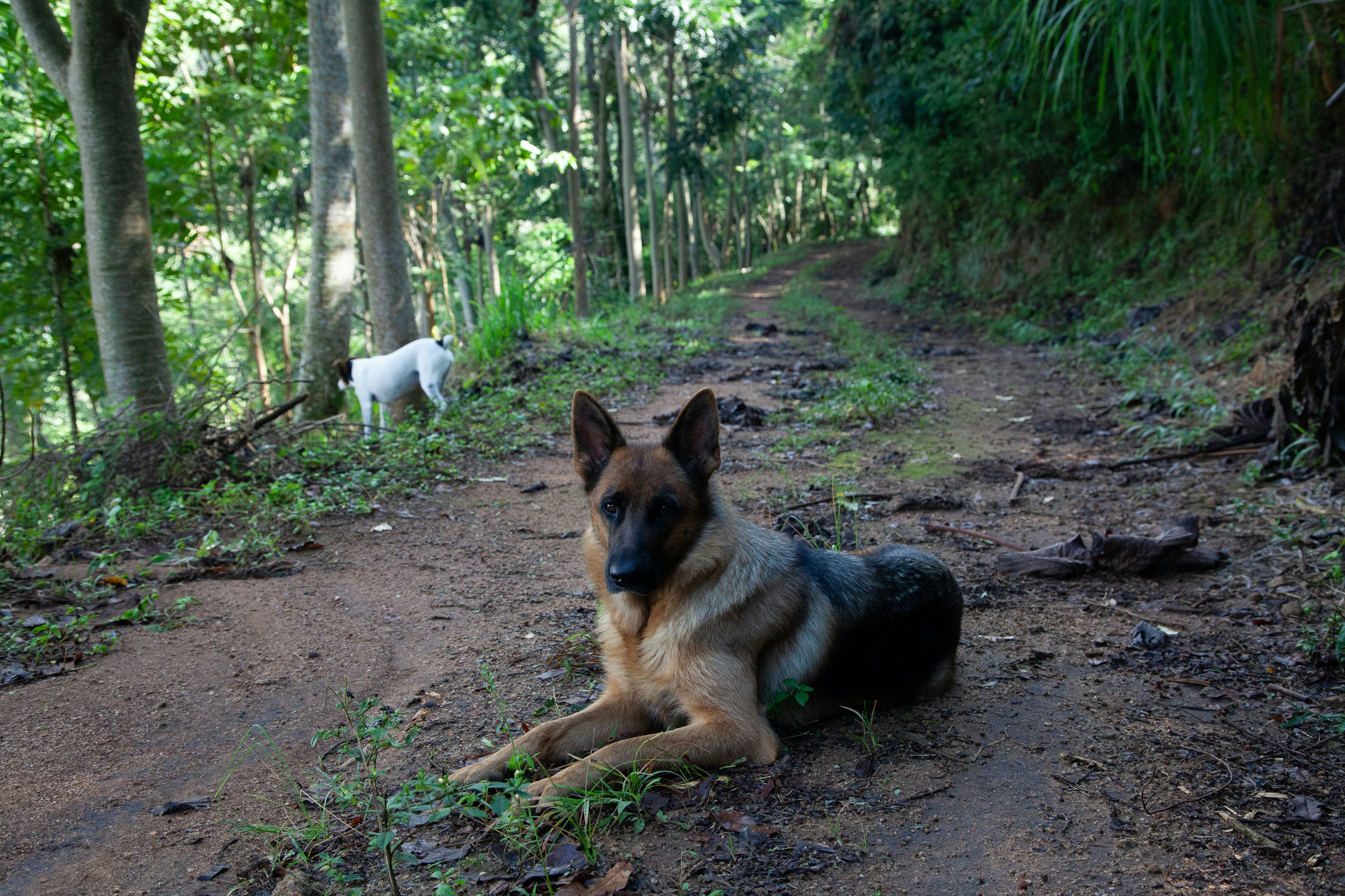 Hydration Habits & Daily Needs