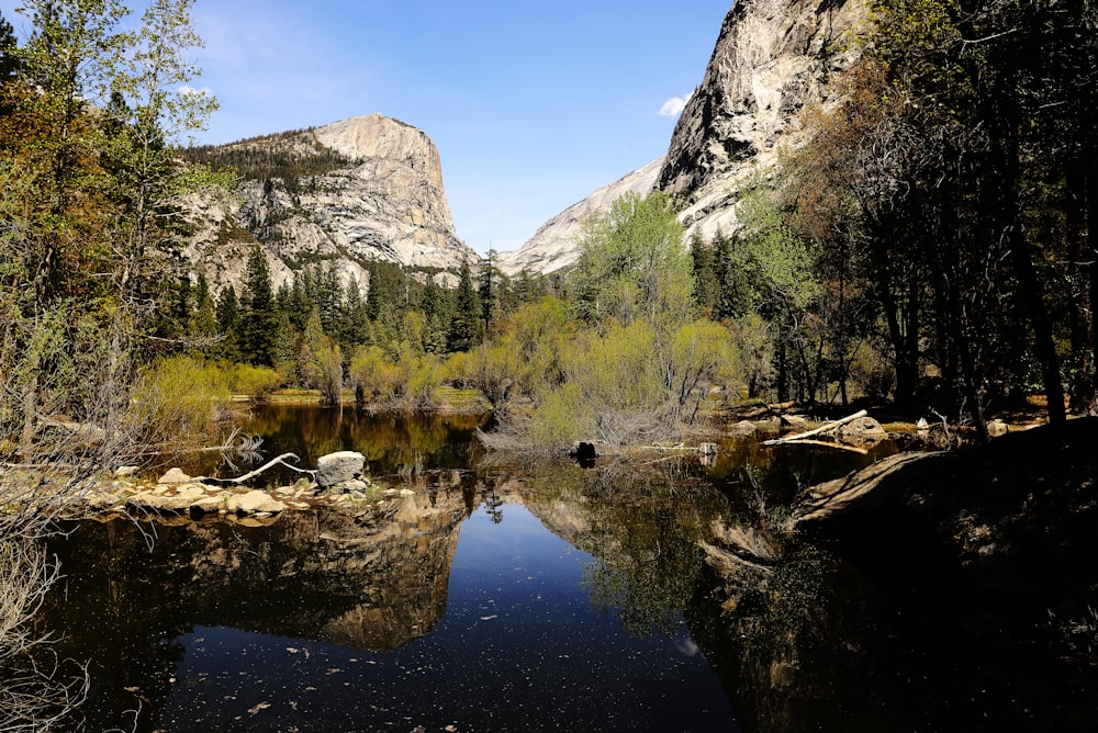 a river surrounded by mountains and trees