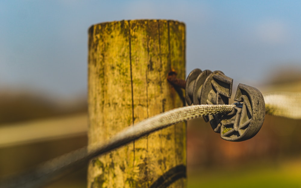 a close up of a pair of shoes on a wooden post