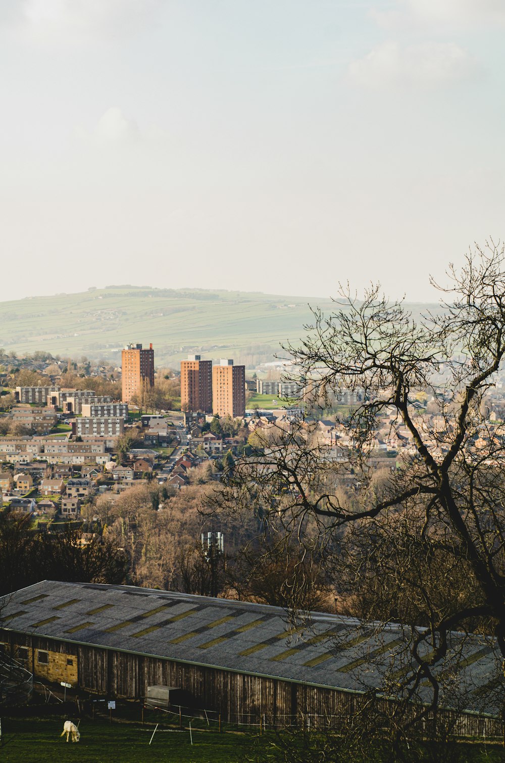 a view of a city from a hill