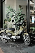 A motorcycle is parked on a tiled floor near a glass window. It has a green body with the label 'CC110' and 'Honda' visible. Behind the motorcycle, there is a large plant with broad leaves, and the window reflects a hair design shop with a visible name 'ANDALUZ'. The scene includes a mix of indoor and outdoor elements, with natural light illuminating the area.