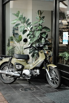 A motorcycle is parked on a tiled floor near a glass window. It has a green body with the label 'CC110' and 'Honda' visible. Behind the motorcycle, there is a large plant with broad leaves, and the window reflects a hair design shop with a visible name 'ANDALUZ'. The scene includes a mix of indoor and outdoor elements, with natural light illuminating the area.