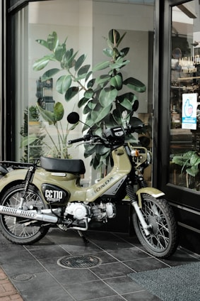 A motorcycle is parked on a tiled floor near a glass window. It has a green body with the label 'CC110' and 'Honda' visible. Behind the motorcycle, there is a large plant with broad leaves, and the window reflects a hair design shop with a visible name 'ANDALUZ'. The scene includes a mix of indoor and outdoor elements, with natural light illuminating the area.