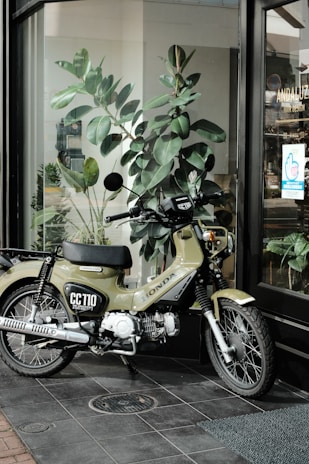 A motorcycle is parked on a tiled floor near a glass window. It has a green body with the label 'CC110' and 'Honda' visible. Behind the motorcycle, there is a large plant with broad leaves, and the window reflects a hair design shop with a visible name 'ANDALUZ'. The scene includes a mix of indoor and outdoor elements, with natural light illuminating the area.