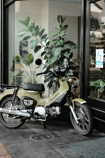 A motorcycle is parked on a tiled floor near a glass window. It has a green body with the label 'CC110' and 'Honda' visible. Behind the motorcycle, there is a large plant with broad leaves, and the window reflects a hair design shop with a visible name 'ANDALUZ'. The scene includes a mix of indoor and outdoor elements, with natural light illuminating the area.