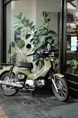 A motorcycle is parked on a tiled floor near a glass window. It has a green body with the label 'CC110' and 'Honda' visible. Behind the motorcycle, there is a large plant with broad leaves, and the window reflects a hair design shop with a visible name 'ANDALUZ'. The scene includes a mix of indoor and outdoor elements, with natural light illuminating the area.