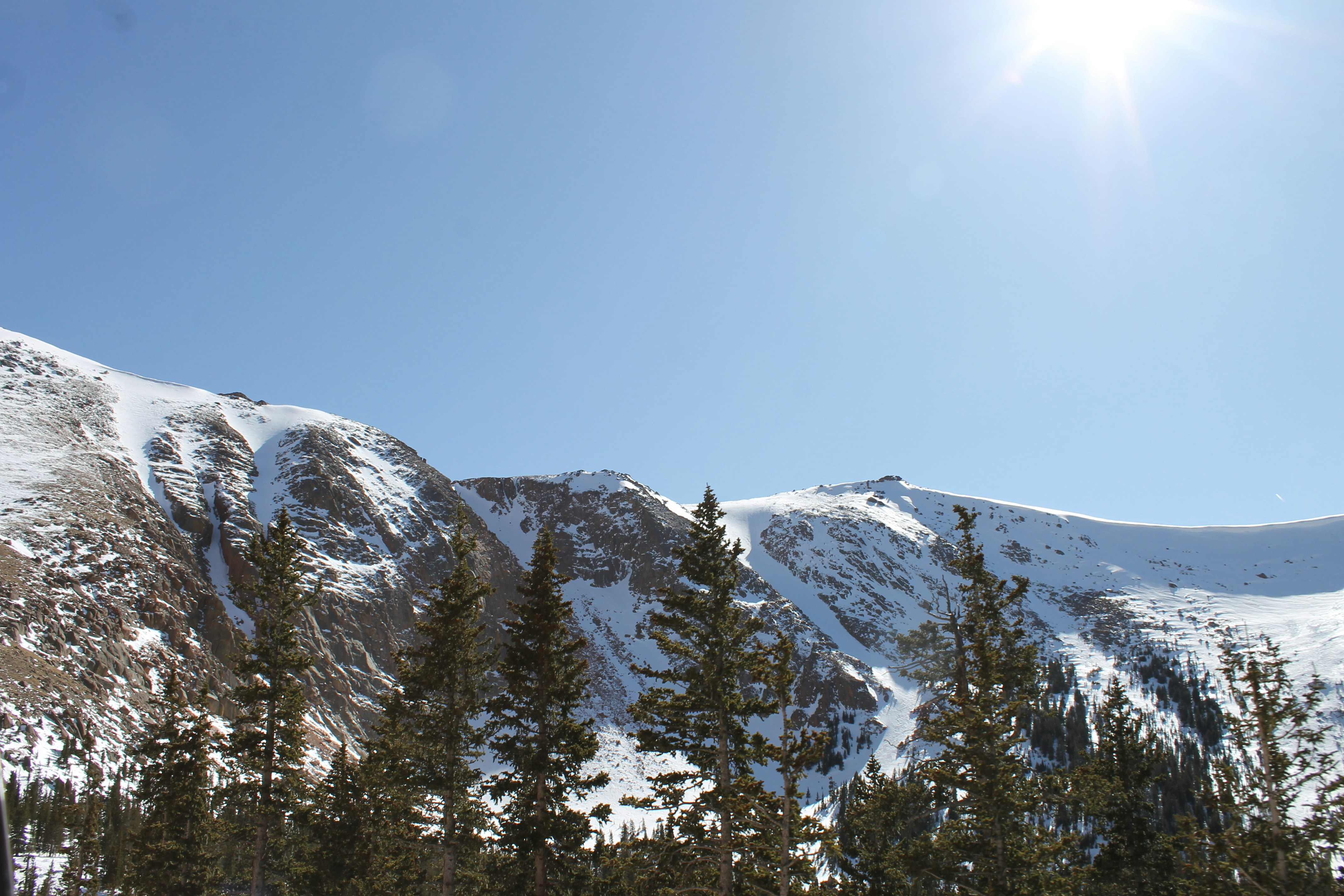 Photo by nicolecavelli