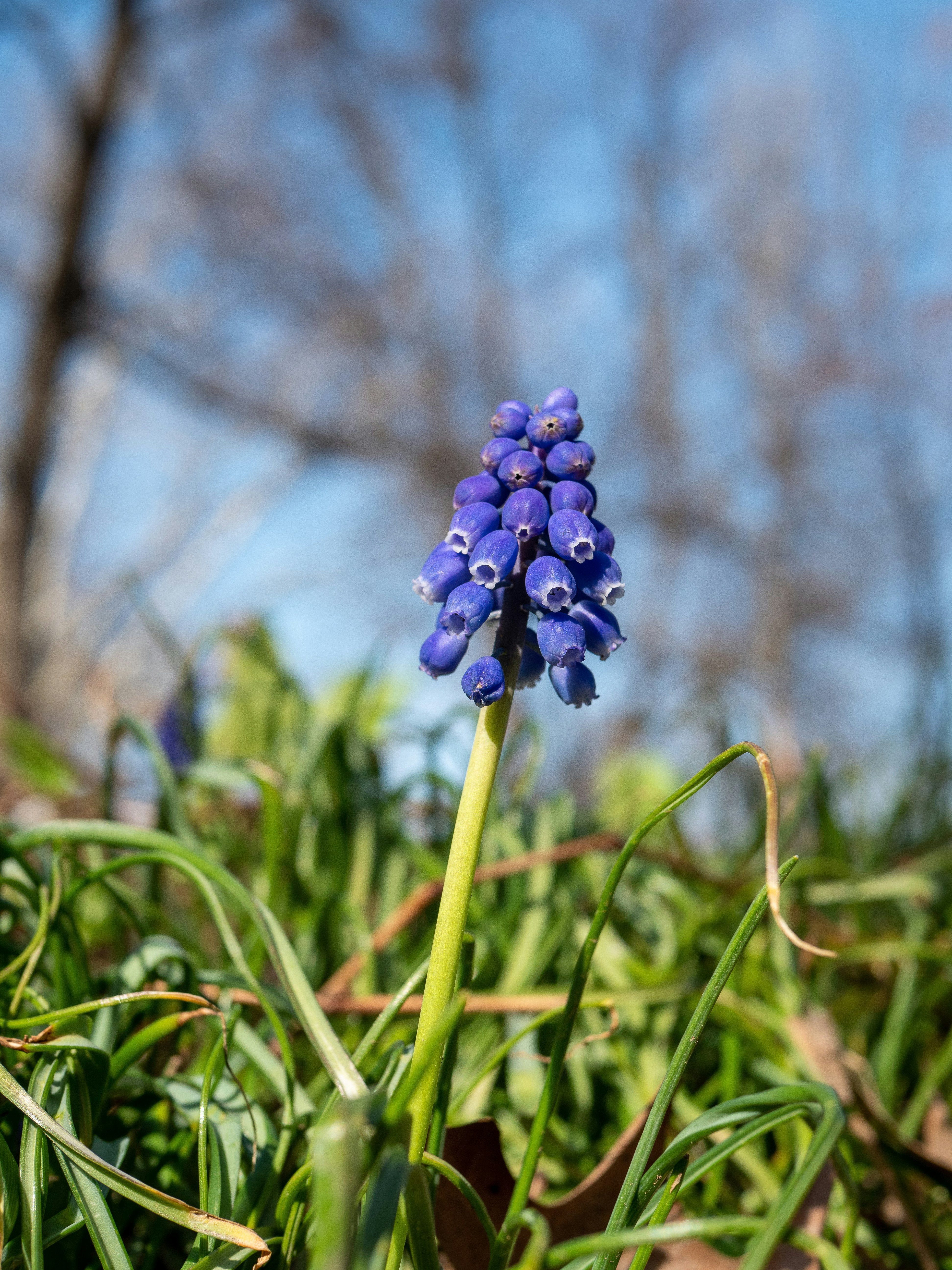 Photo by gabrielalmanzar