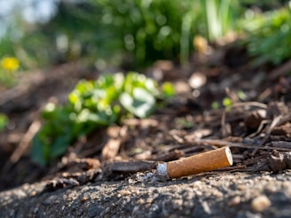 a cigarette that is laying on the ground