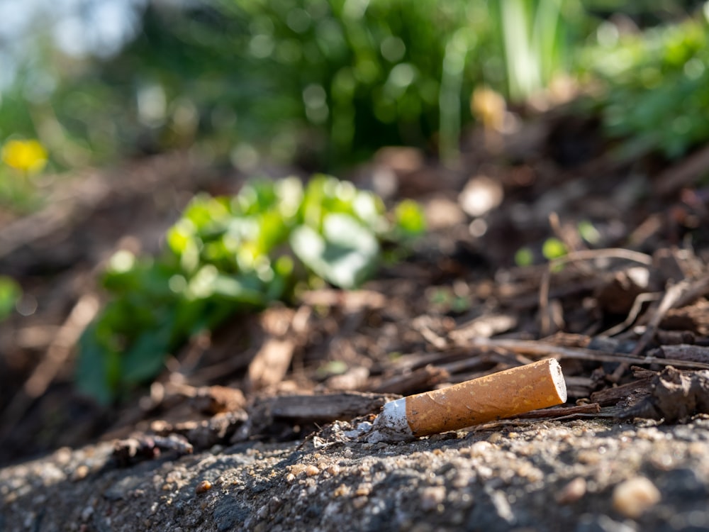 a cigarette that is laying on the ground