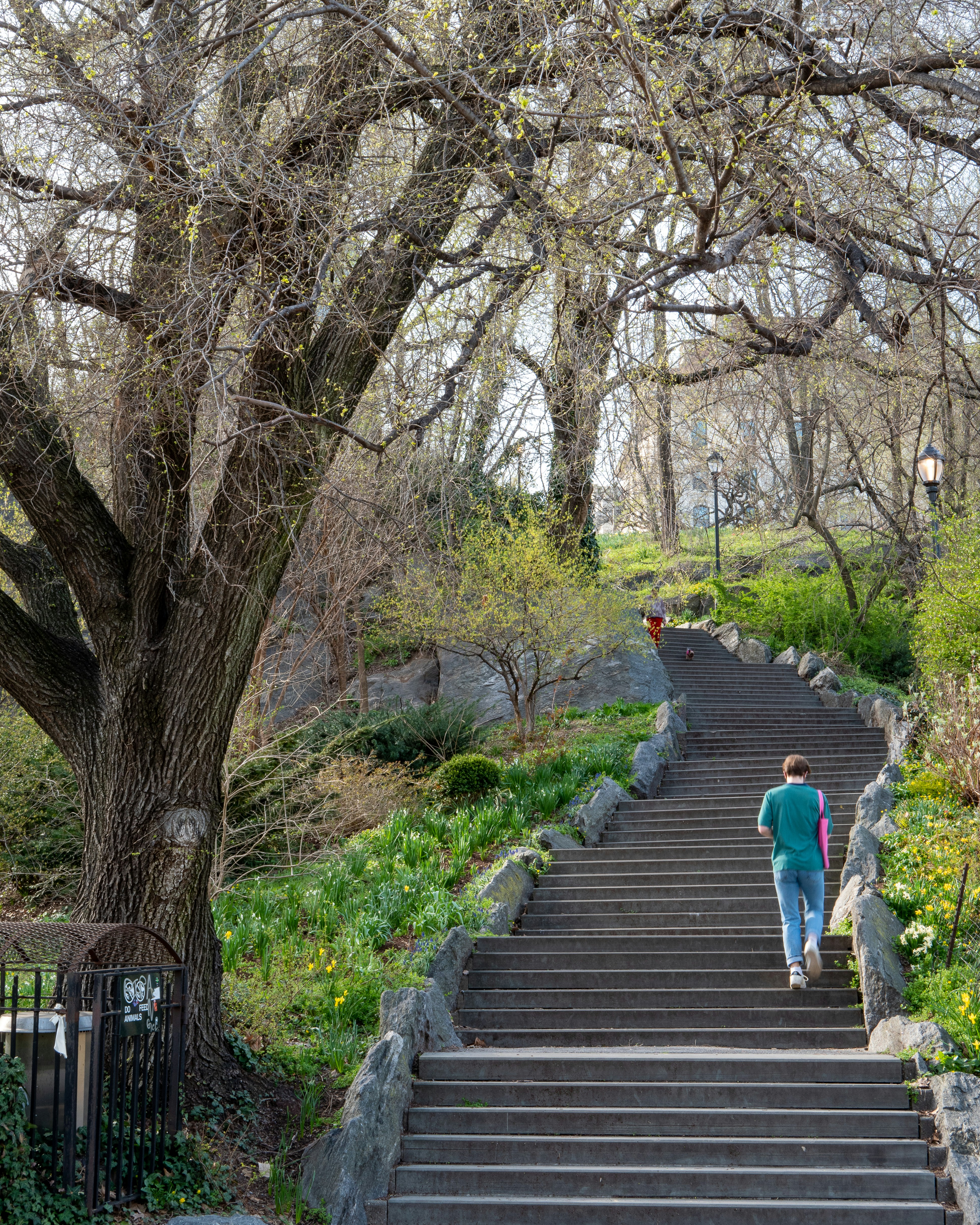 a woman is walking down a set of stairs
