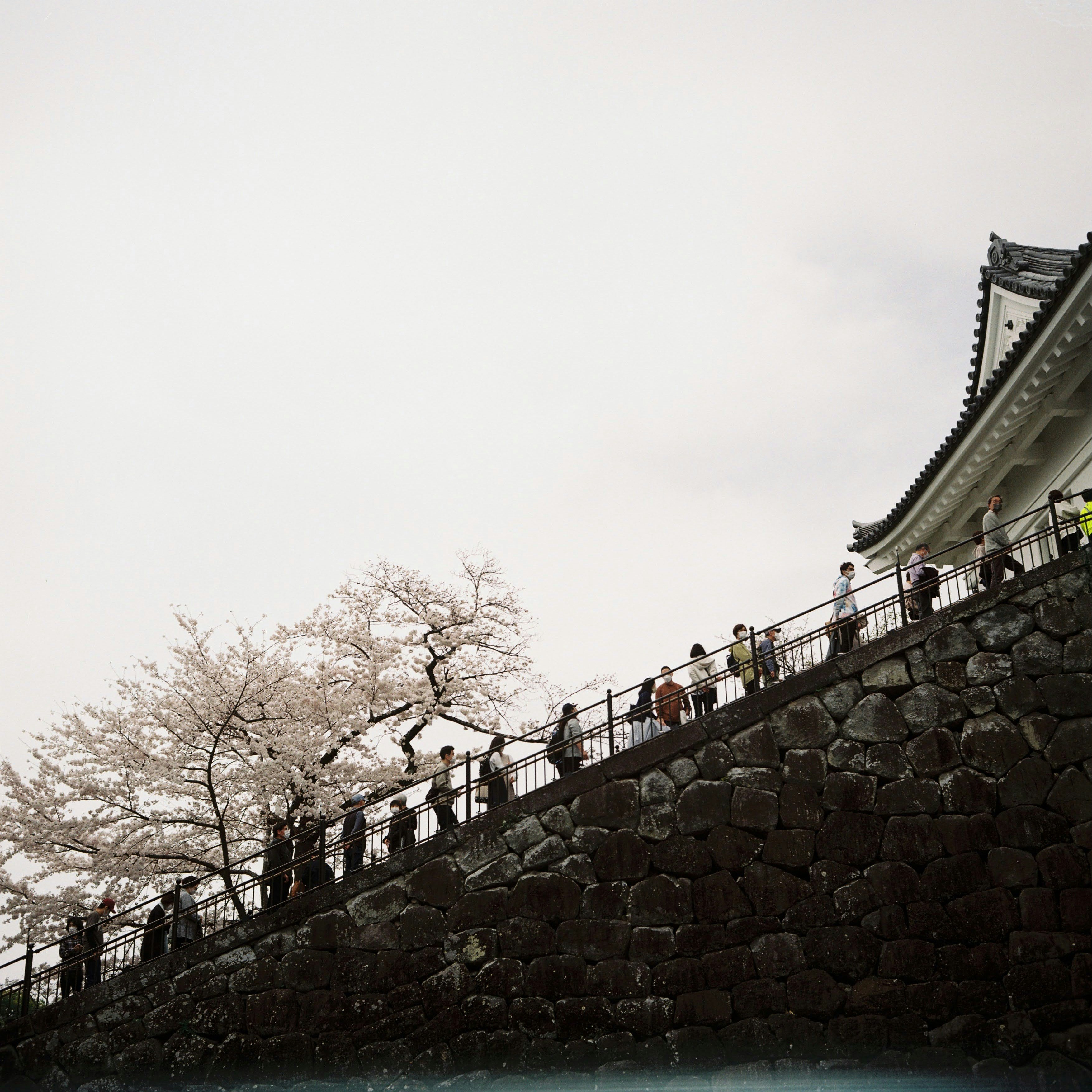 a group of people standing on top of a stone wall