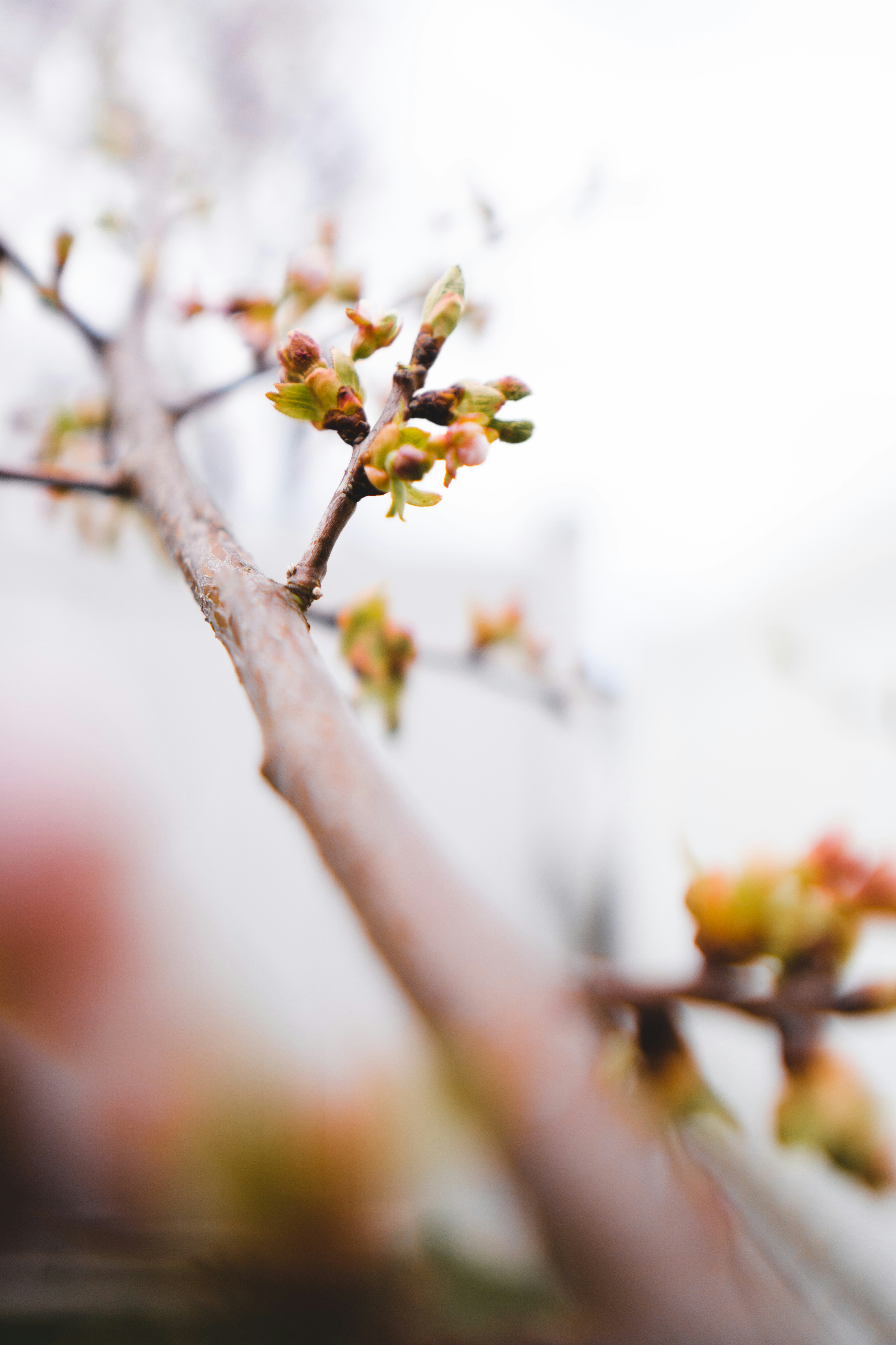 Photo by emmanuelphaeton